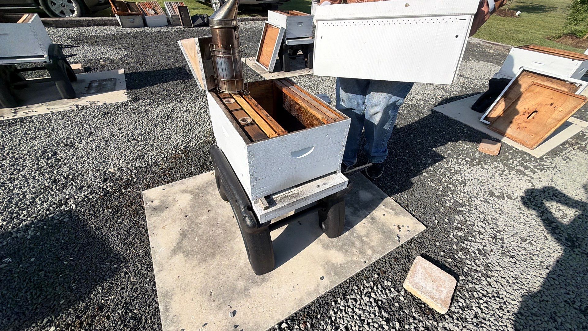 Momma K’s apiary by Rockwall Honey Bee Company