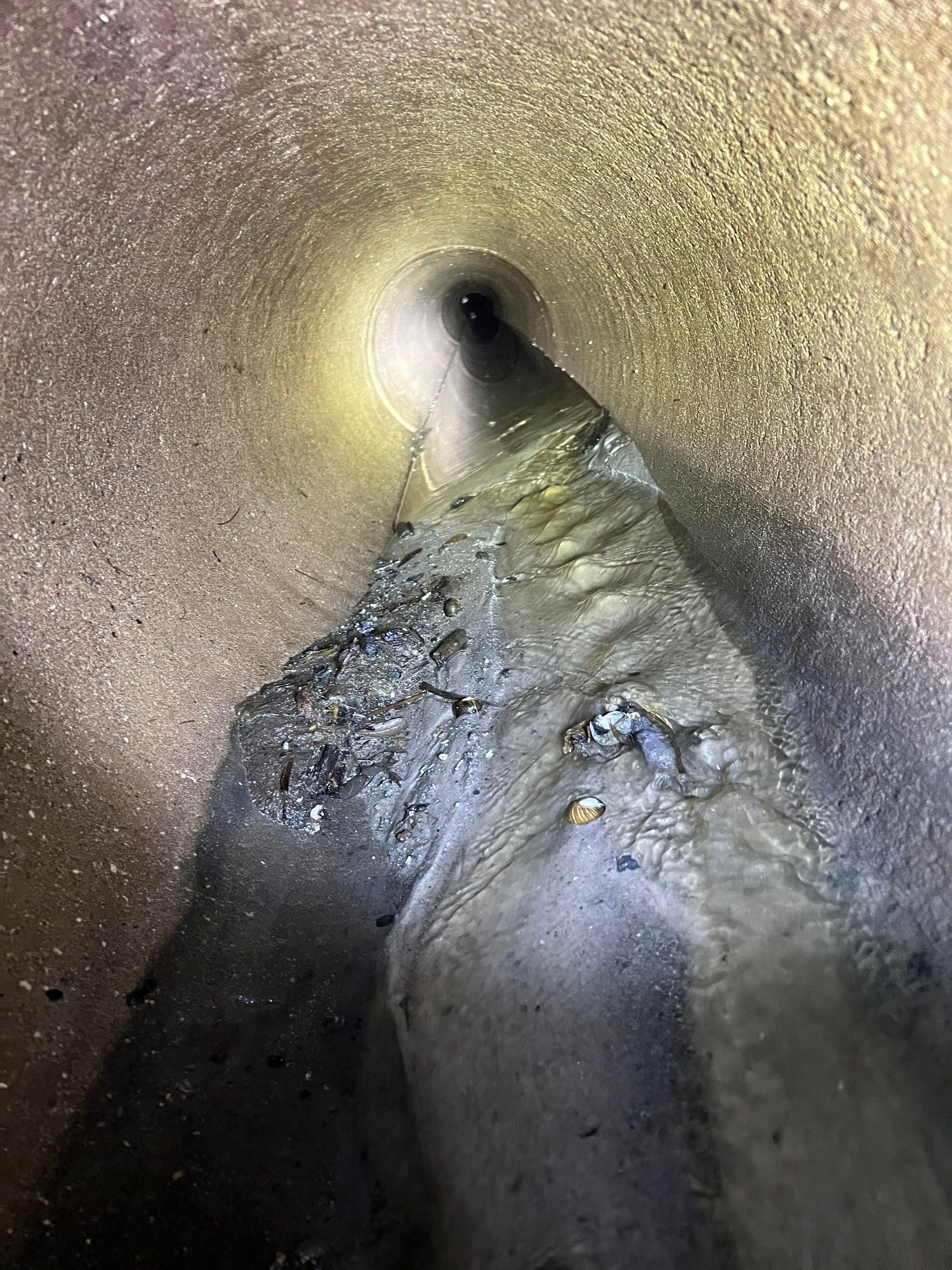 Bonita Bay Condo Stormwater Maintenance with PRS by APS Power & Water