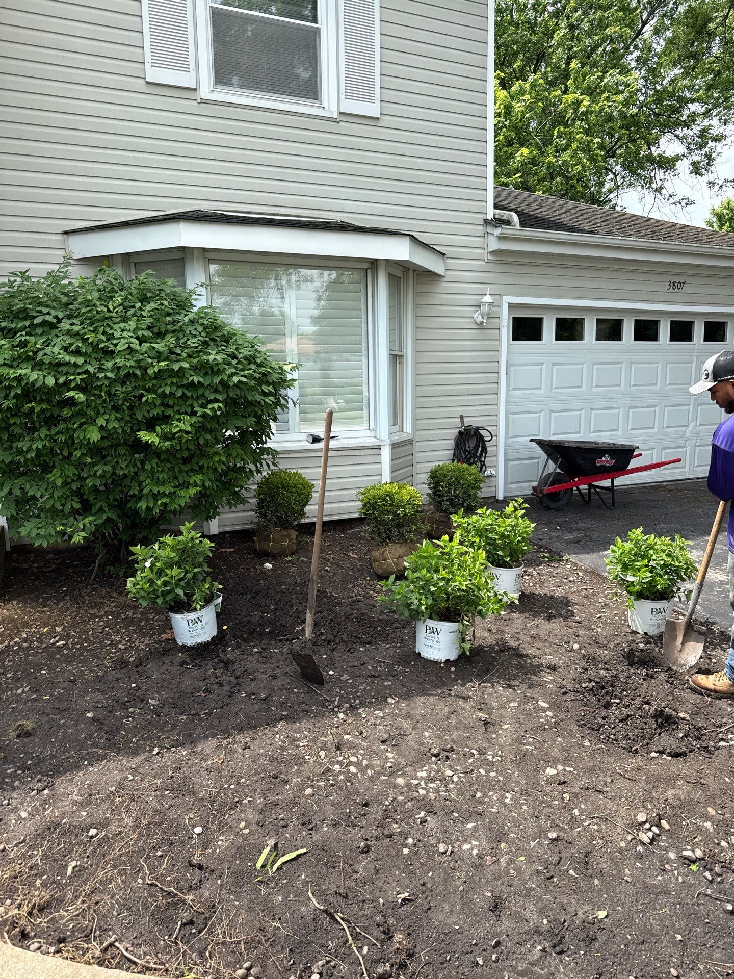 Ashley B. - Glenview, IL by A&N