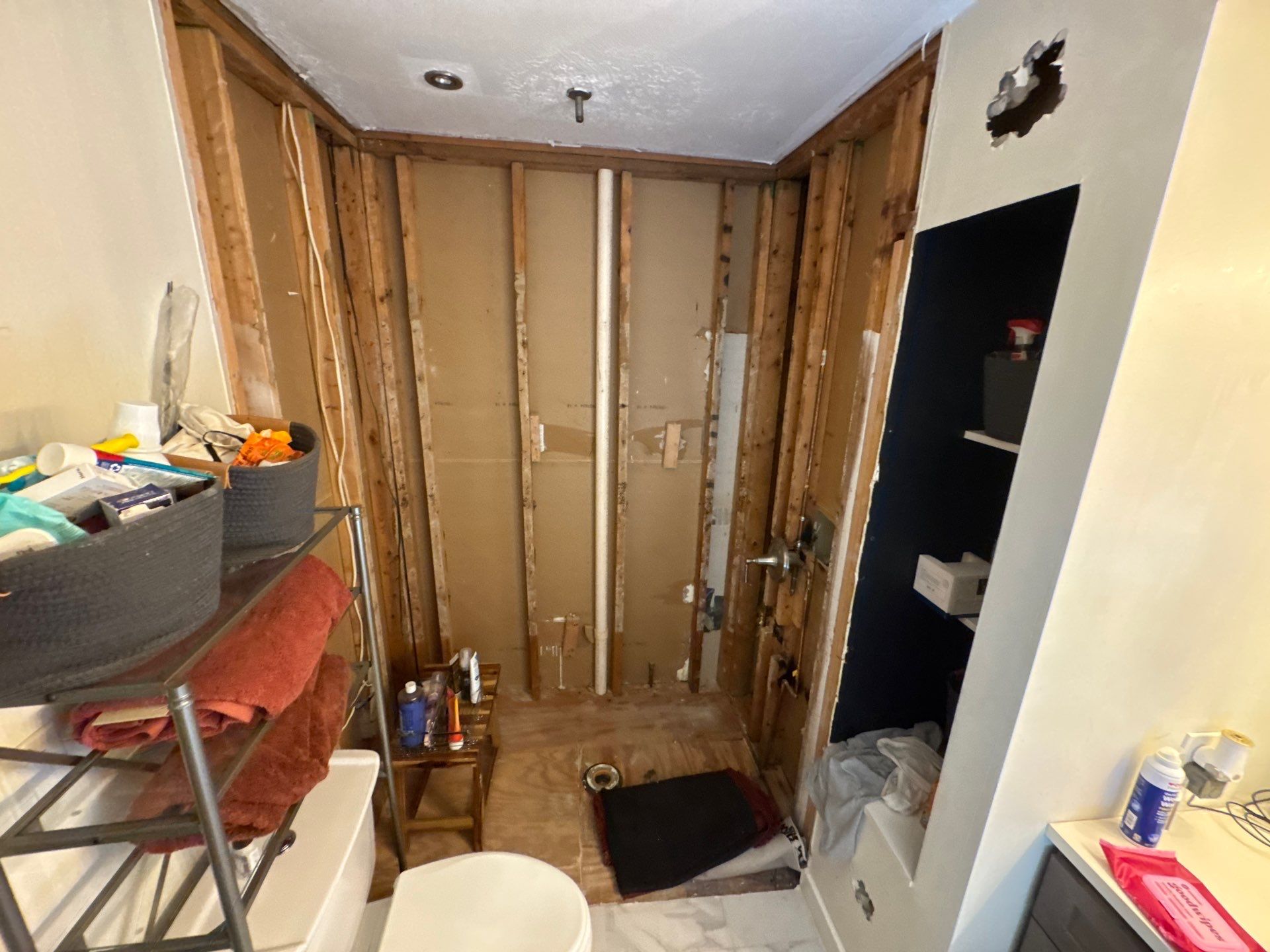 Master bathroom renovation by Prudencio