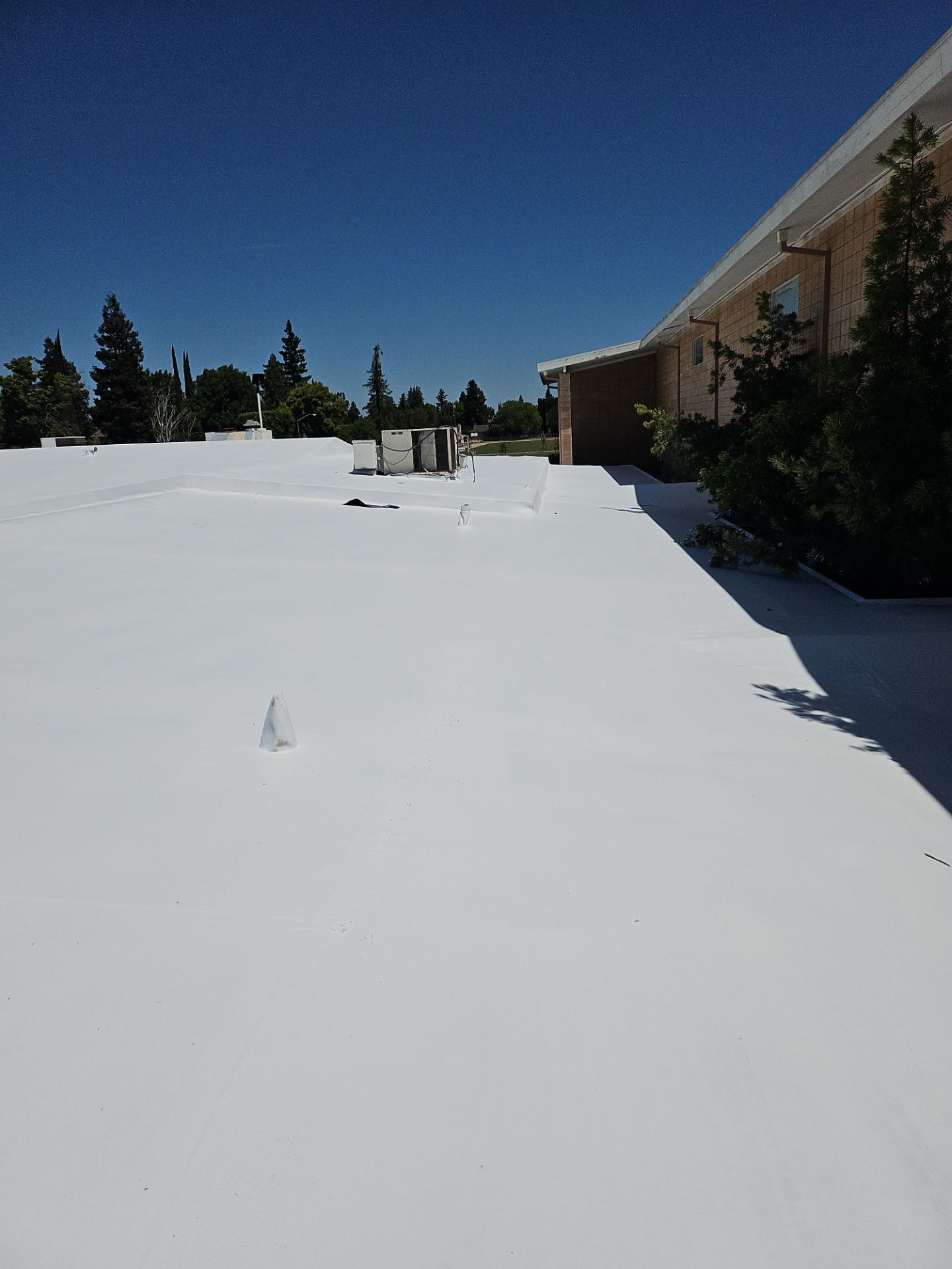 Single-ply restoration system using Benchmark/PUMA XL coatings over TPO single-ply roofing by Straight Edge Roofing Inc
