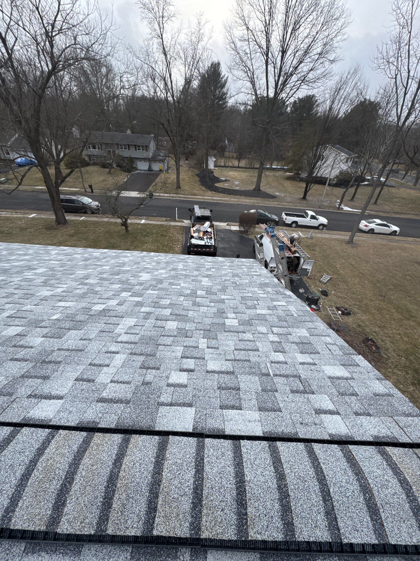 Silver Birch Shingles by Reimagine Roofing