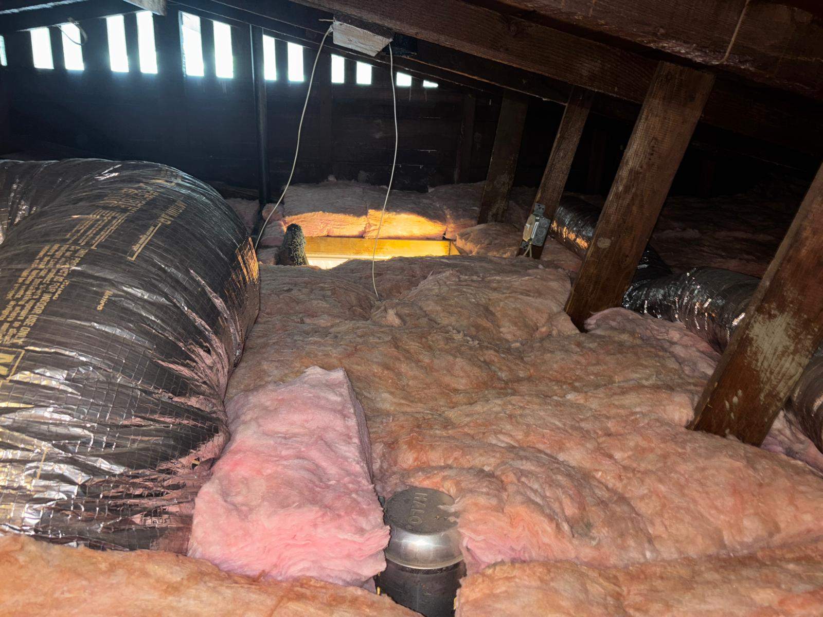 Project in Venice by Insulation Labs