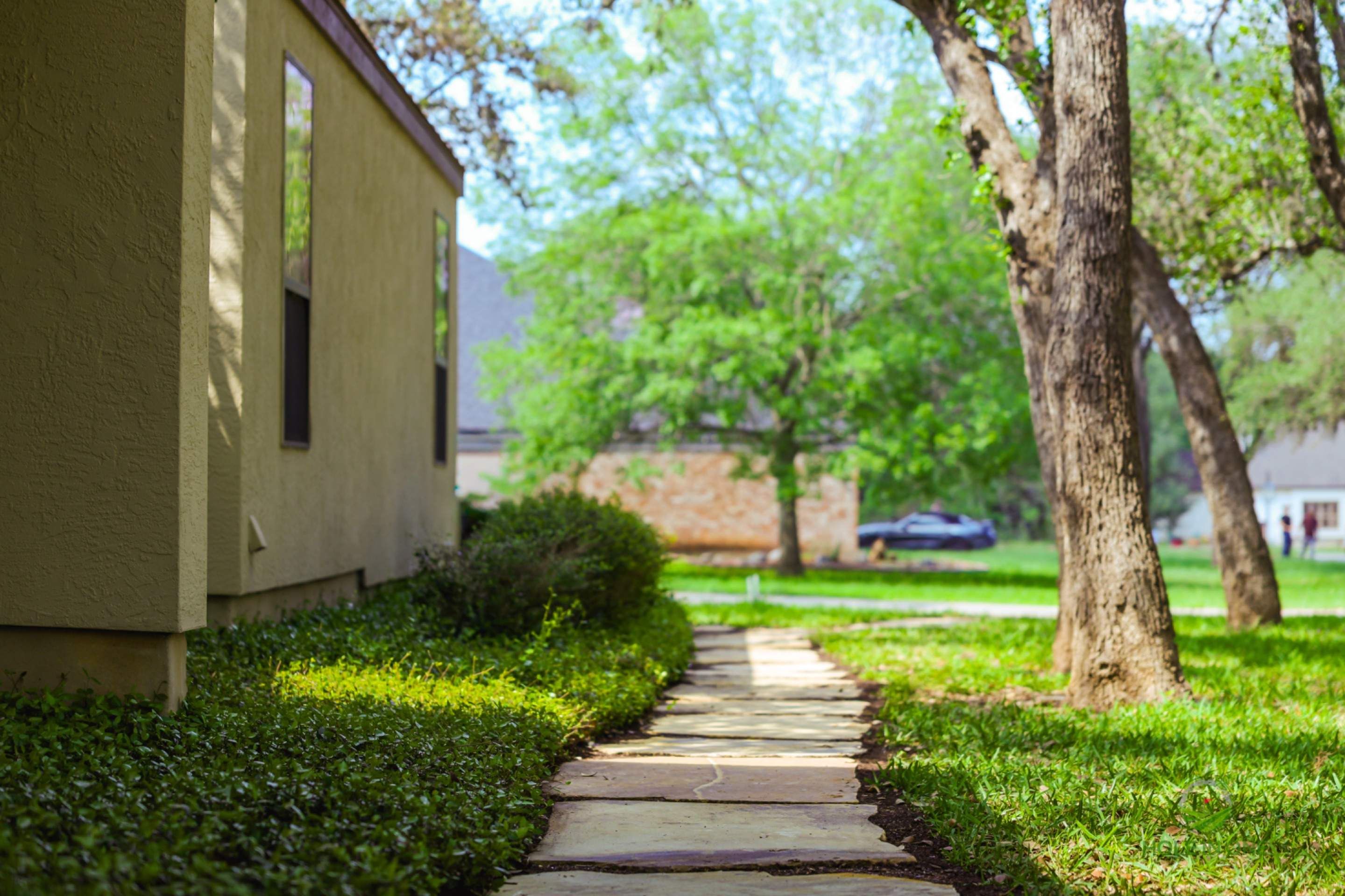 Scattered Oaks, San Antonio TX by Hole In One Lawns, LLC