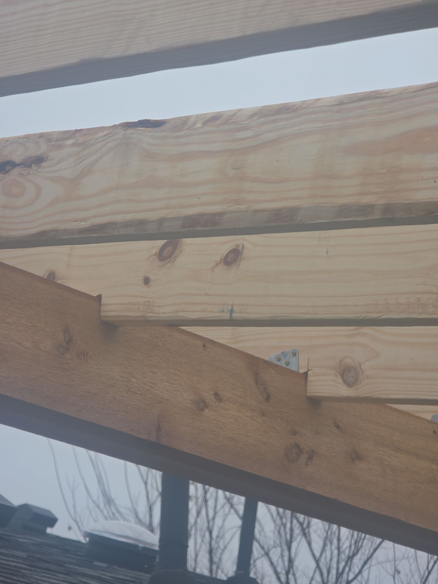 Custom patio for under 20. by REPS OF TEXAS