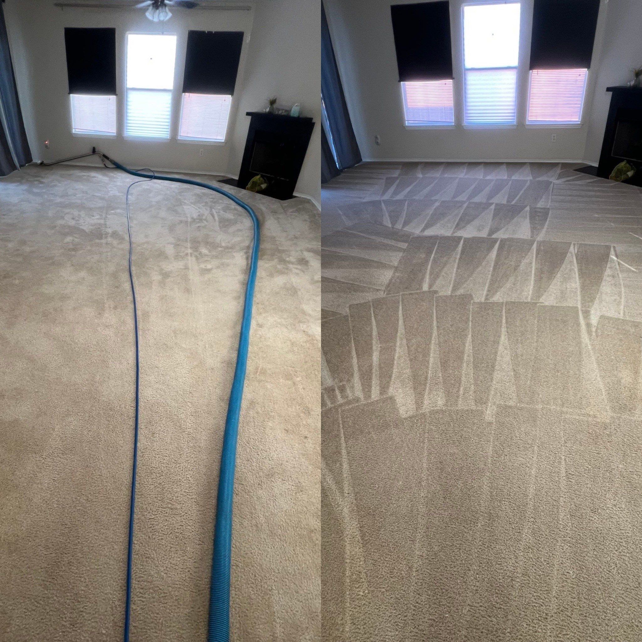 the service is carpet cleaning showing a freshly cleaned carpet with clear patterns and a vacuum hose in use