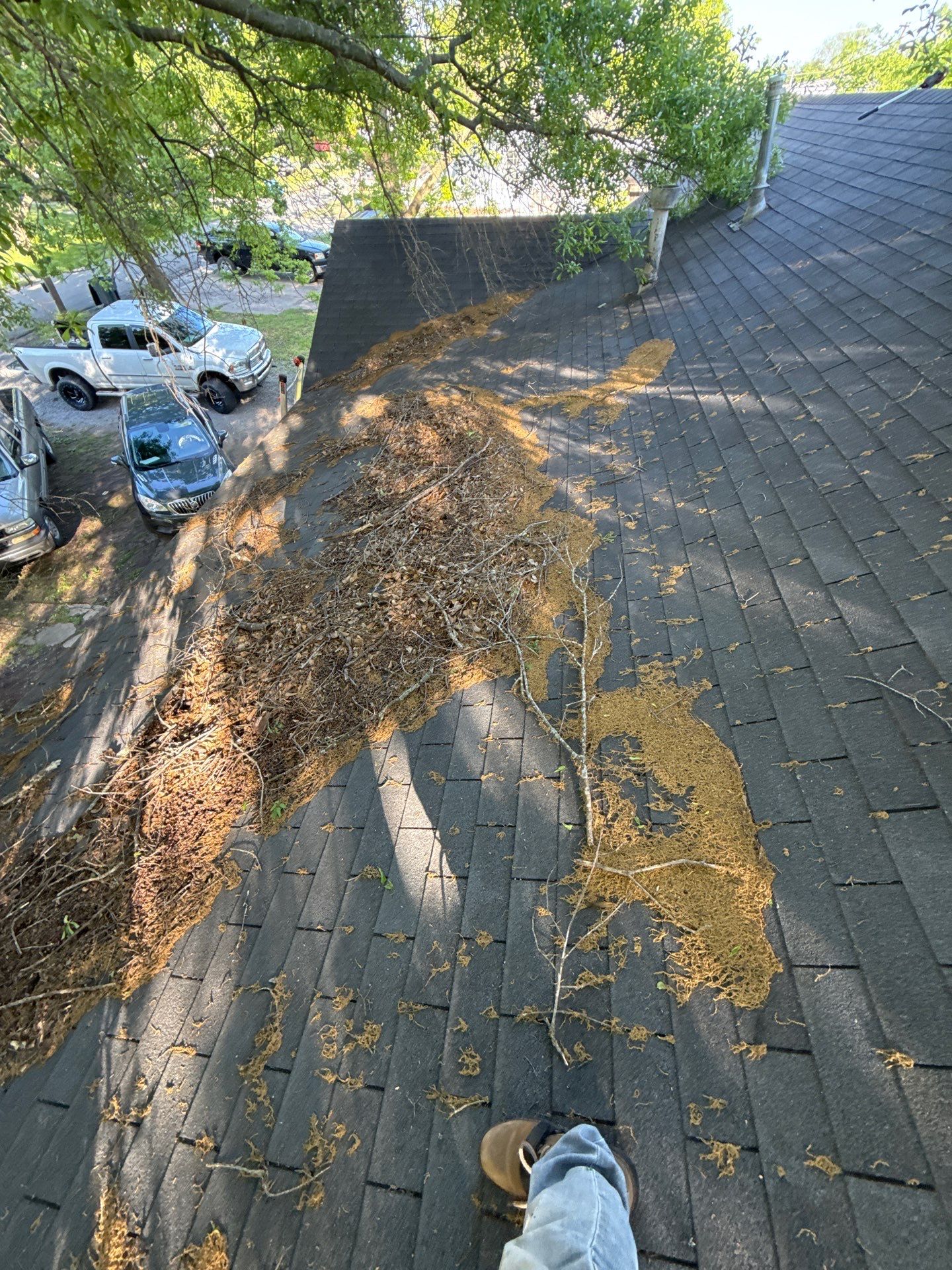 From 3tab to Class 3 impact resistant shingles!! by In & Out Construction & Remodeling, LLC