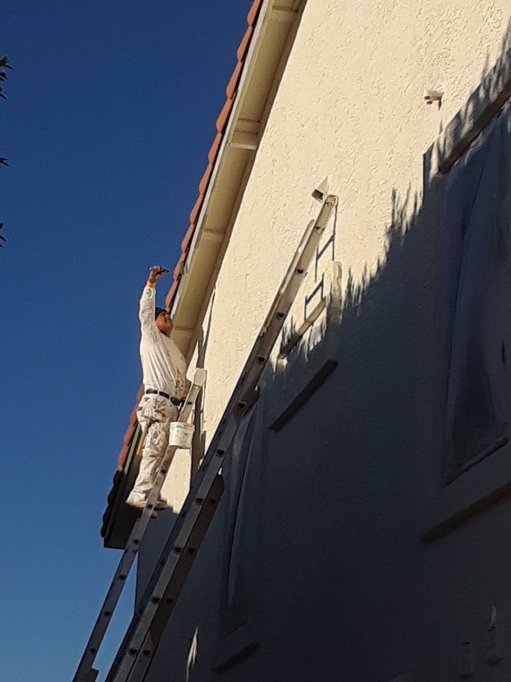 Exterior Painting using Dunn-Edwards EVERSHIELD®  by Crash of Rhinos Painting & Garage Floors