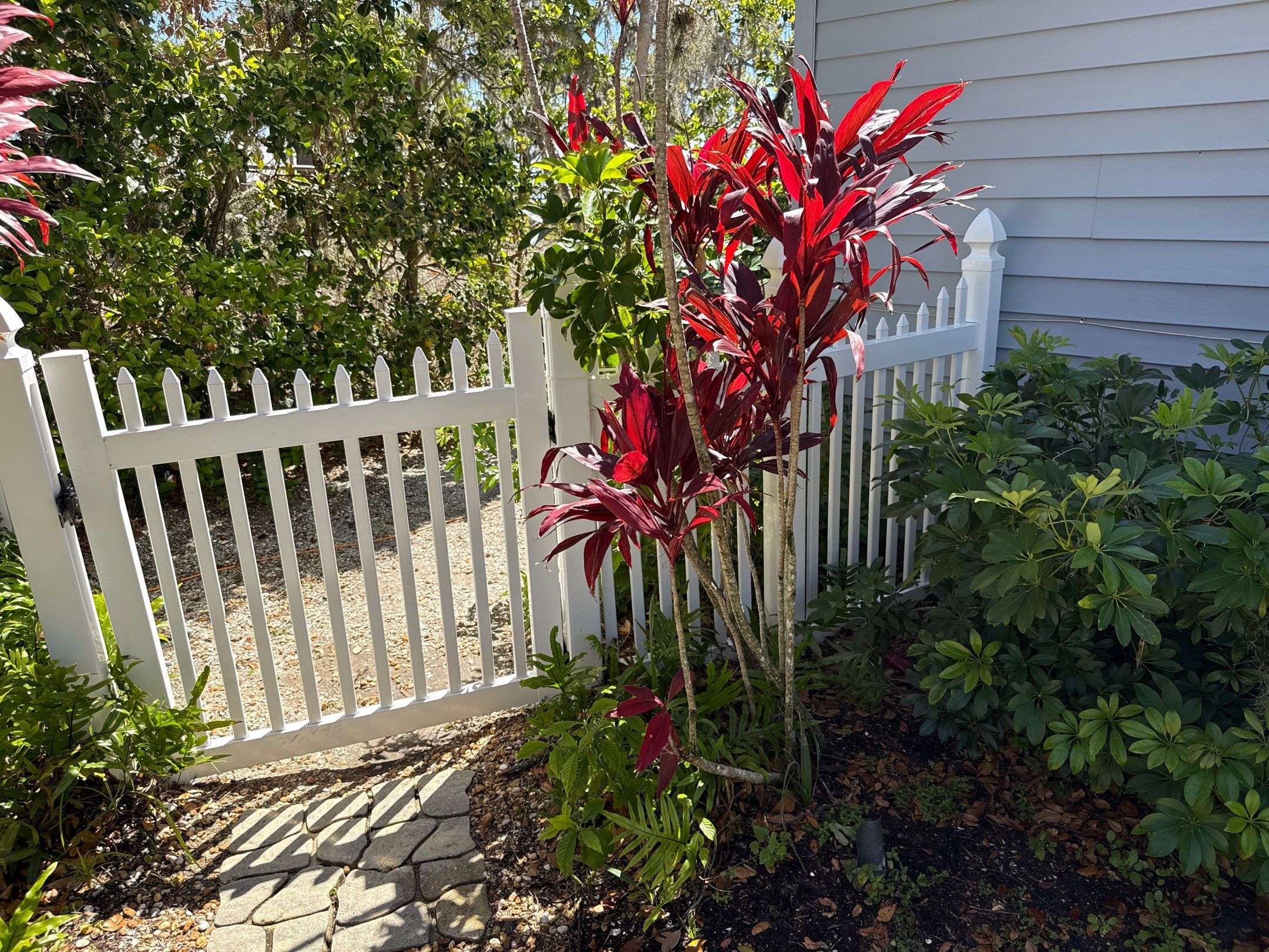 π‘ From Green to Clean! π Epic House & Pool Cage Cleaning on the Manatee River | Ellenton, FL π¦ by Sunshine AquaWash