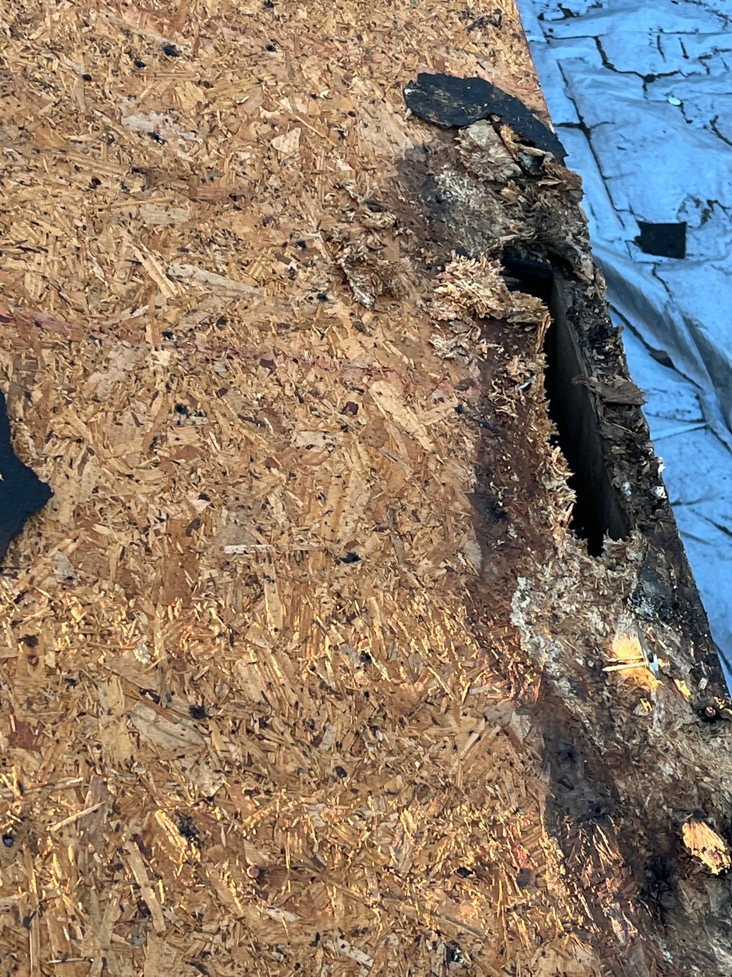 Project in St. Petersburg 33705 by Mitchell Roofing Company LLC
