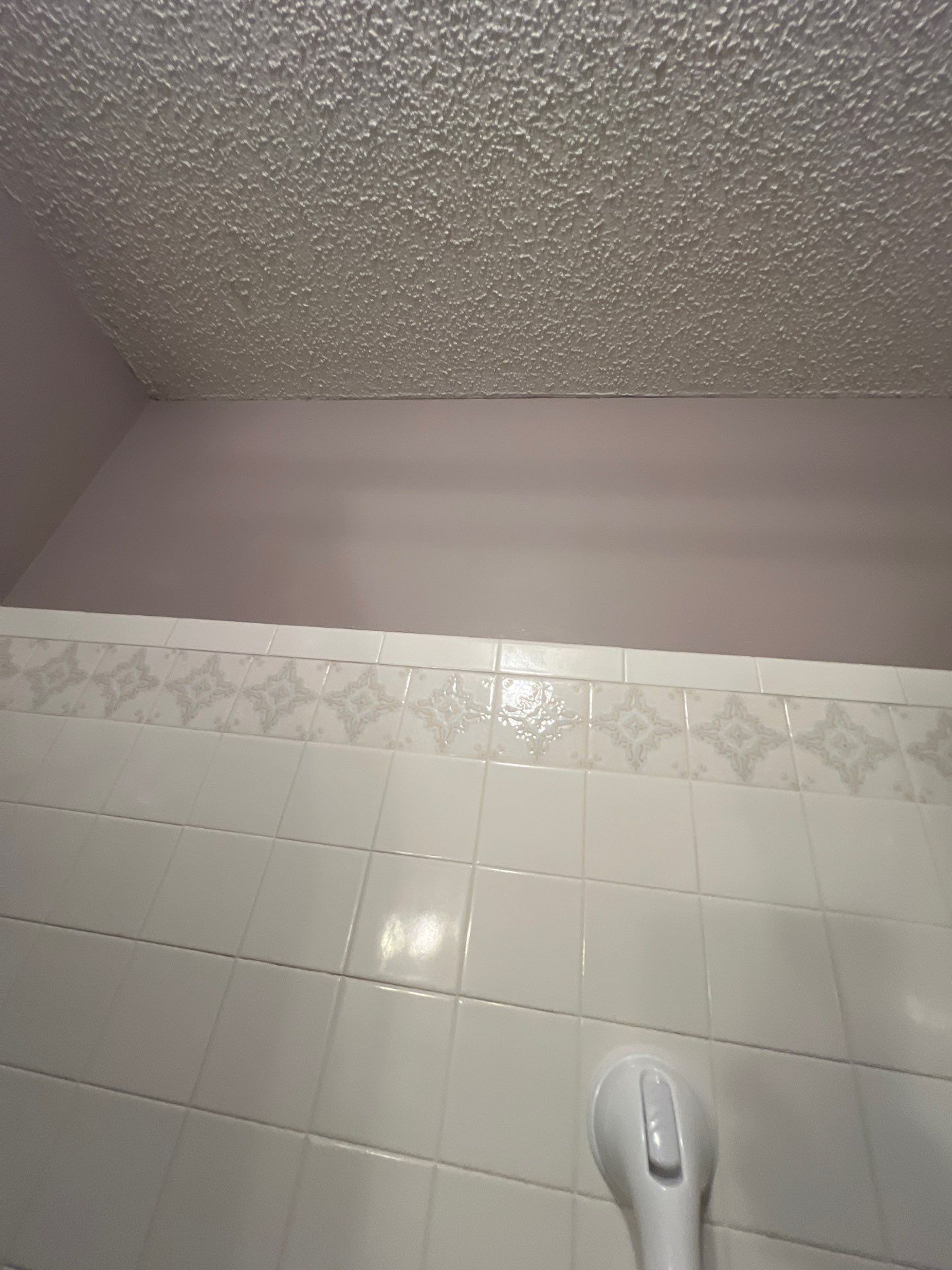Bathroom Remodel using Onyx by The Shower Company
