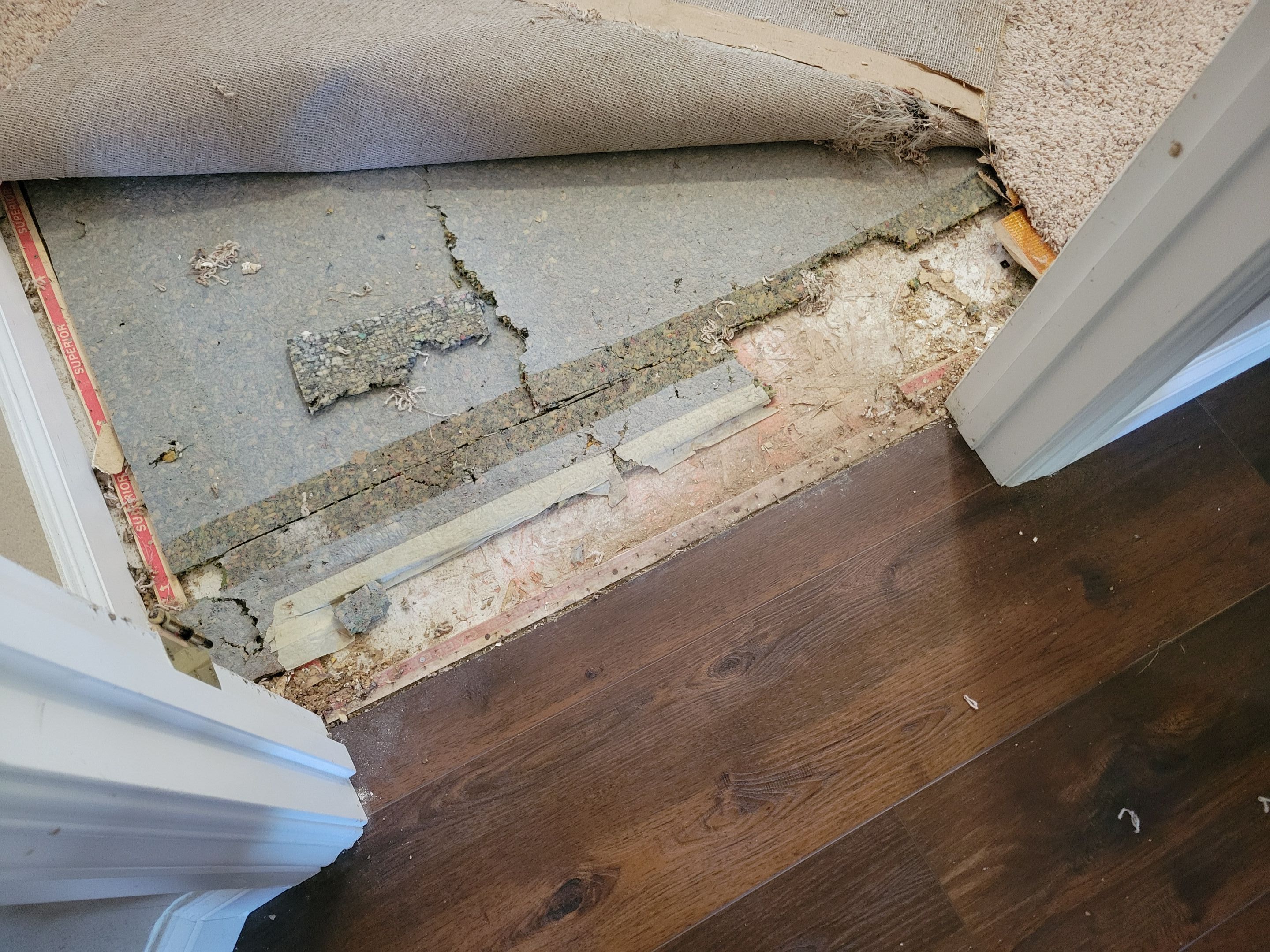 Bonded Inserts for Dog Damage by Ardent Carpet Restore LLC