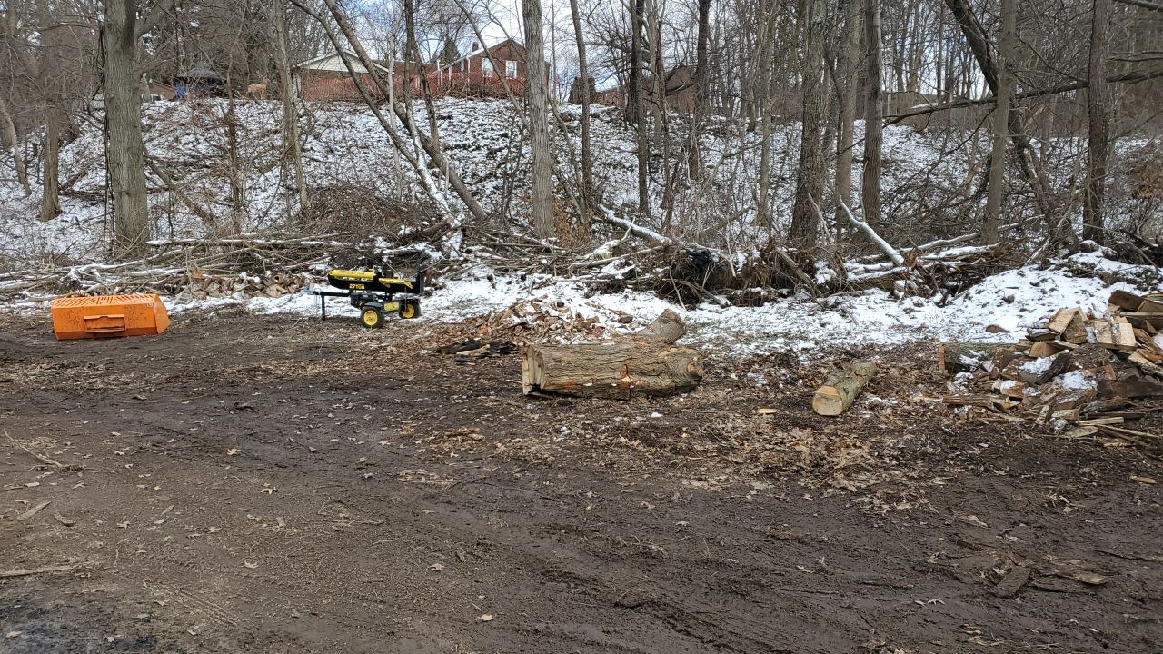 Tree Removal using Tree Removal by Mike Jones & Sons Tree Service LLC 