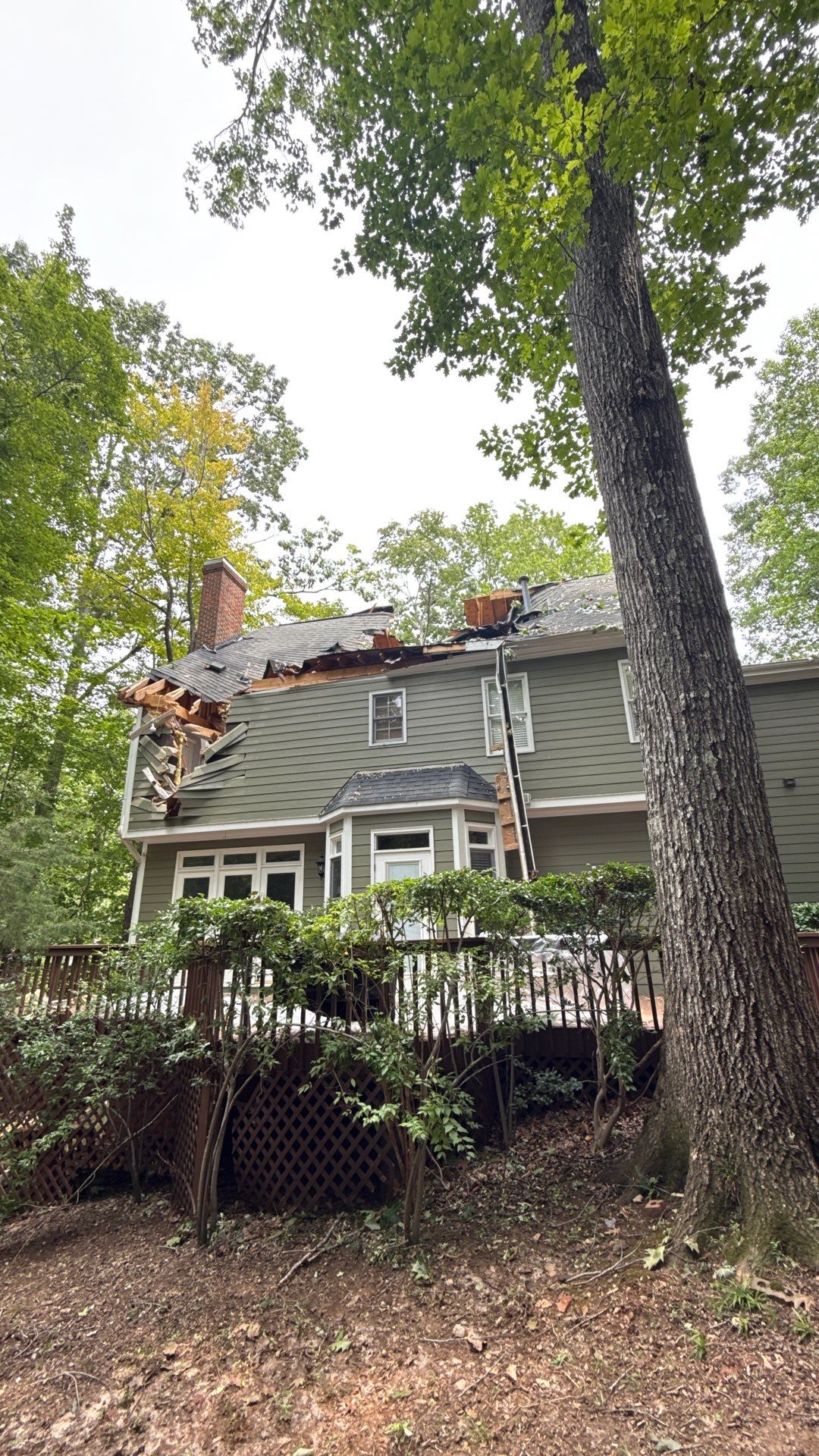 Storm Damage Mitigation and Structural Drying After Tree Impact in Raleigh by One Team Restoration