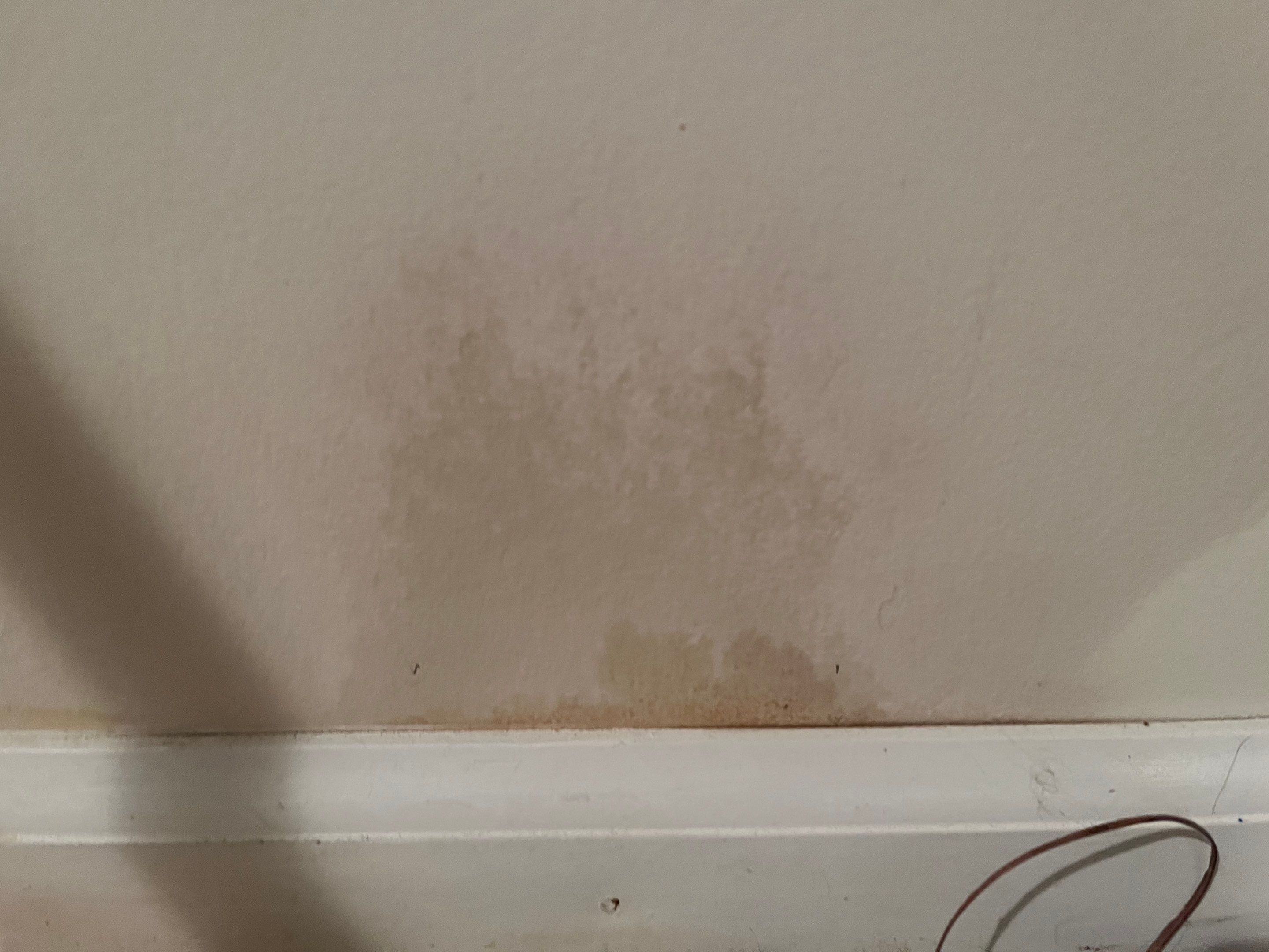 Basement Pipe Burst Emergency Mitigation Demo and Dry Down using Dehumidifiers and Air Movers by Absolute Roofing and Construction