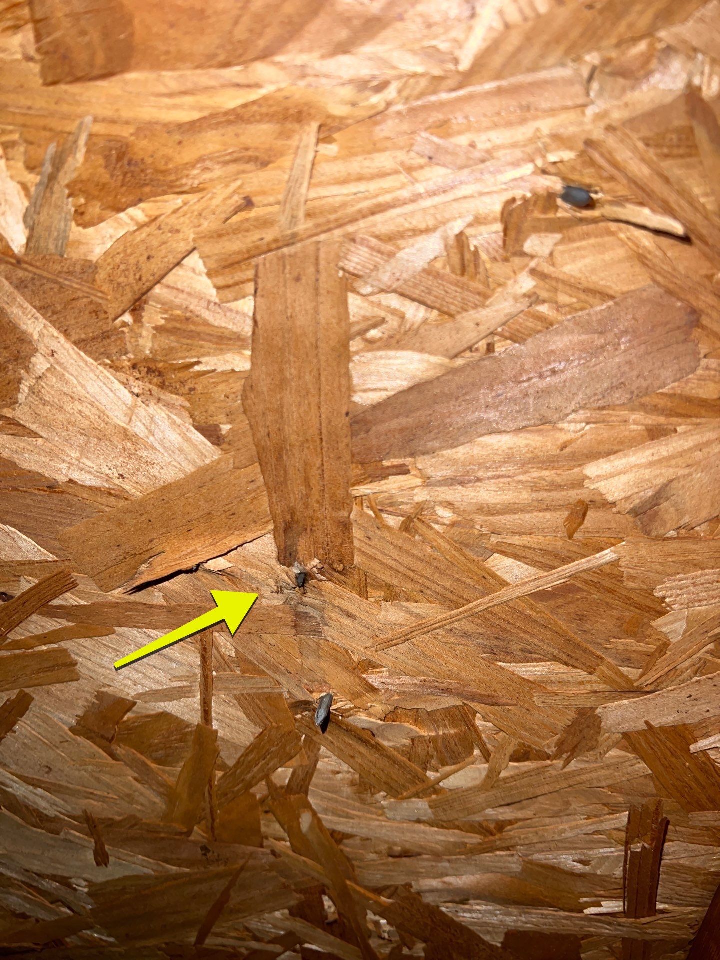 Roof Repair Pearland by Roof Repair Company