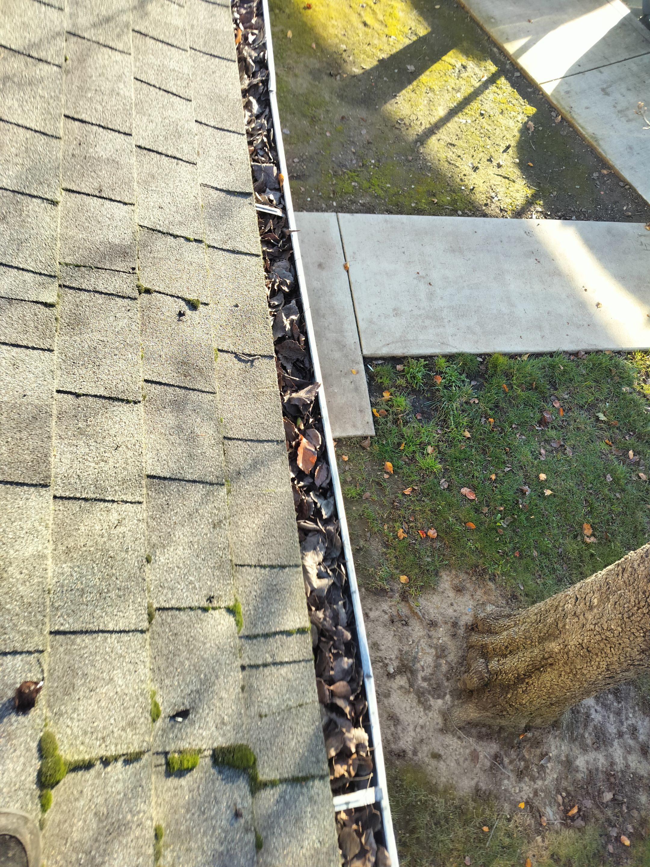 Commercial gutter cleaning Elk Grove, CA before photo with filled gutters