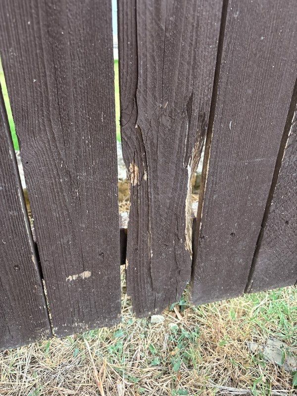 Project in Prosper by NIMBUS GENERAL CONTRACTORS, LLC