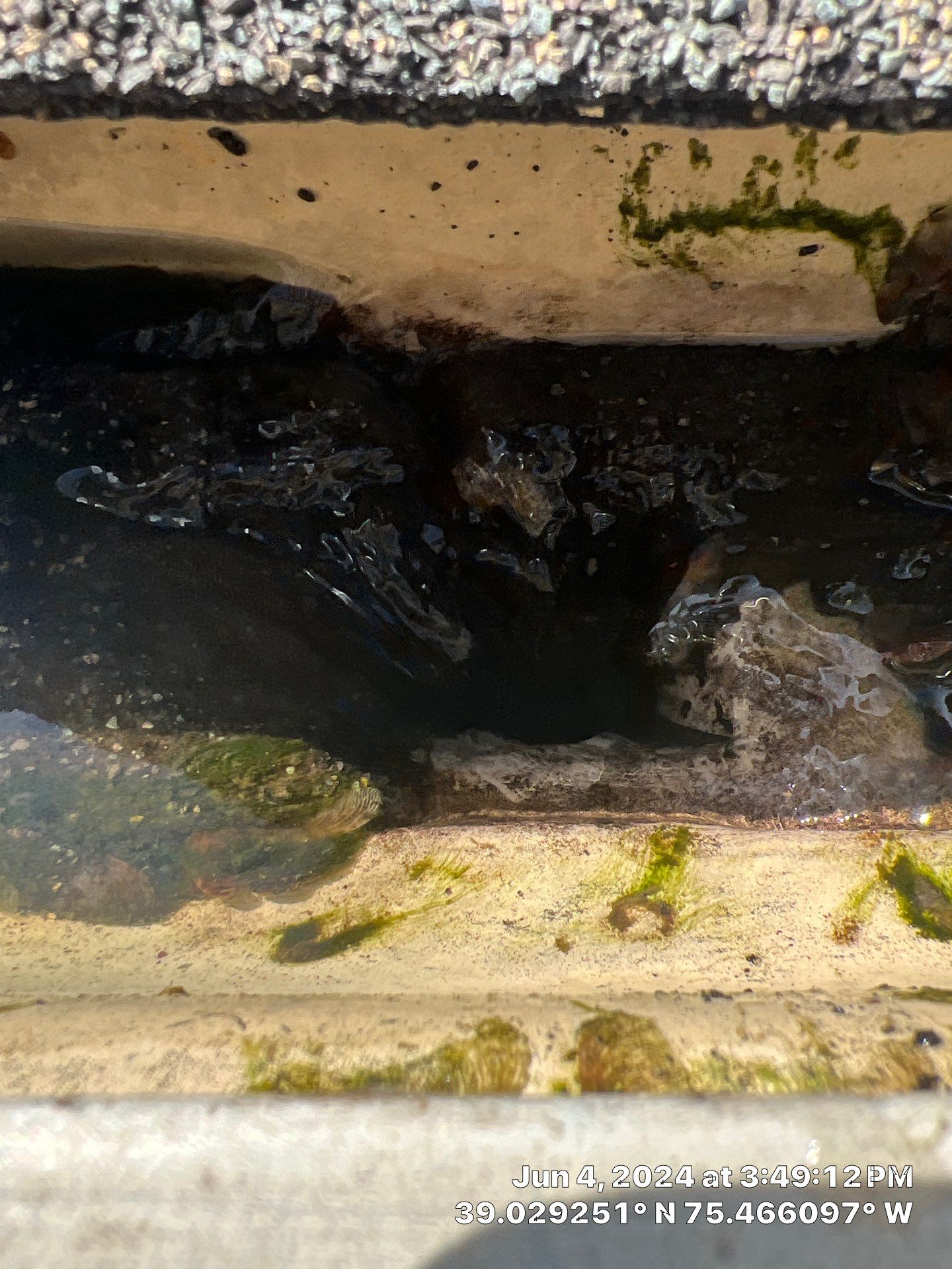Basement Mold Remediation by Healthy Home Solutions
