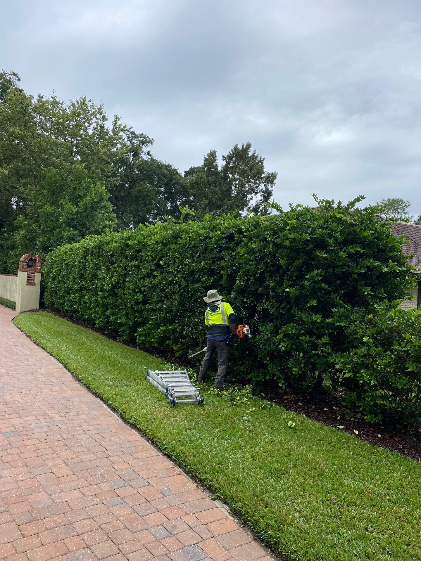 Deerwood Resident | Shrub Work by ProGreen Services