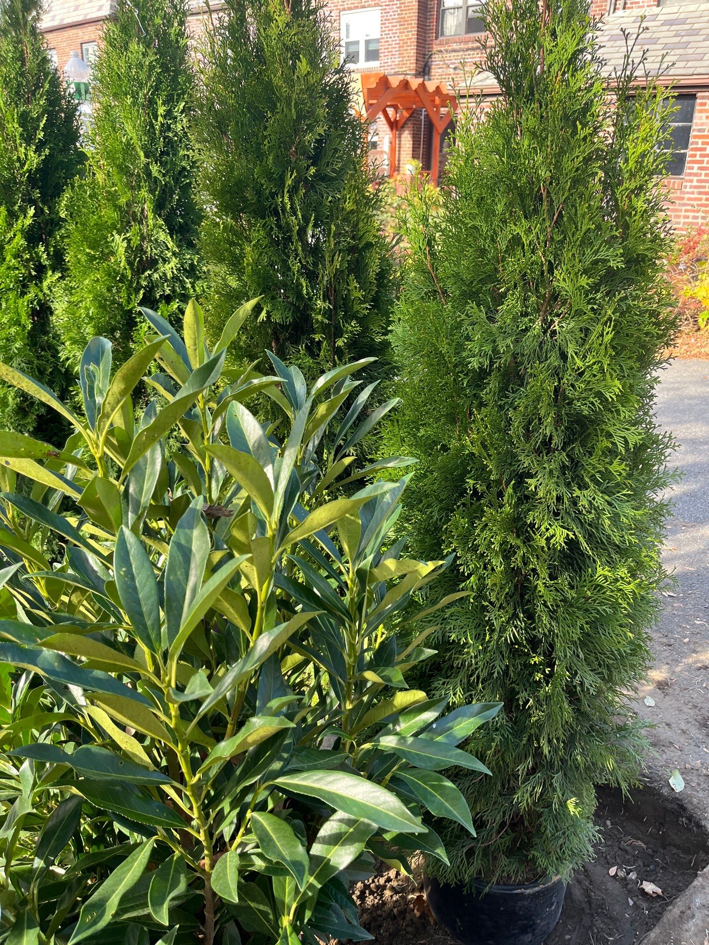 Landscape Design by elegant Lawns