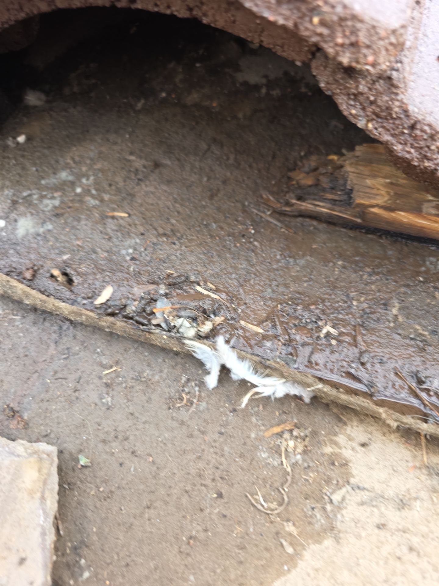 Protect Your Investment: Arizona Roofing Company's Expertise at Work! by Weather-Tite Roofing