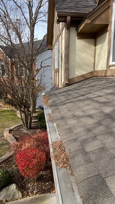 Turtle Shell gutter protection installation in Naperville, IL 60565, photograph 17
