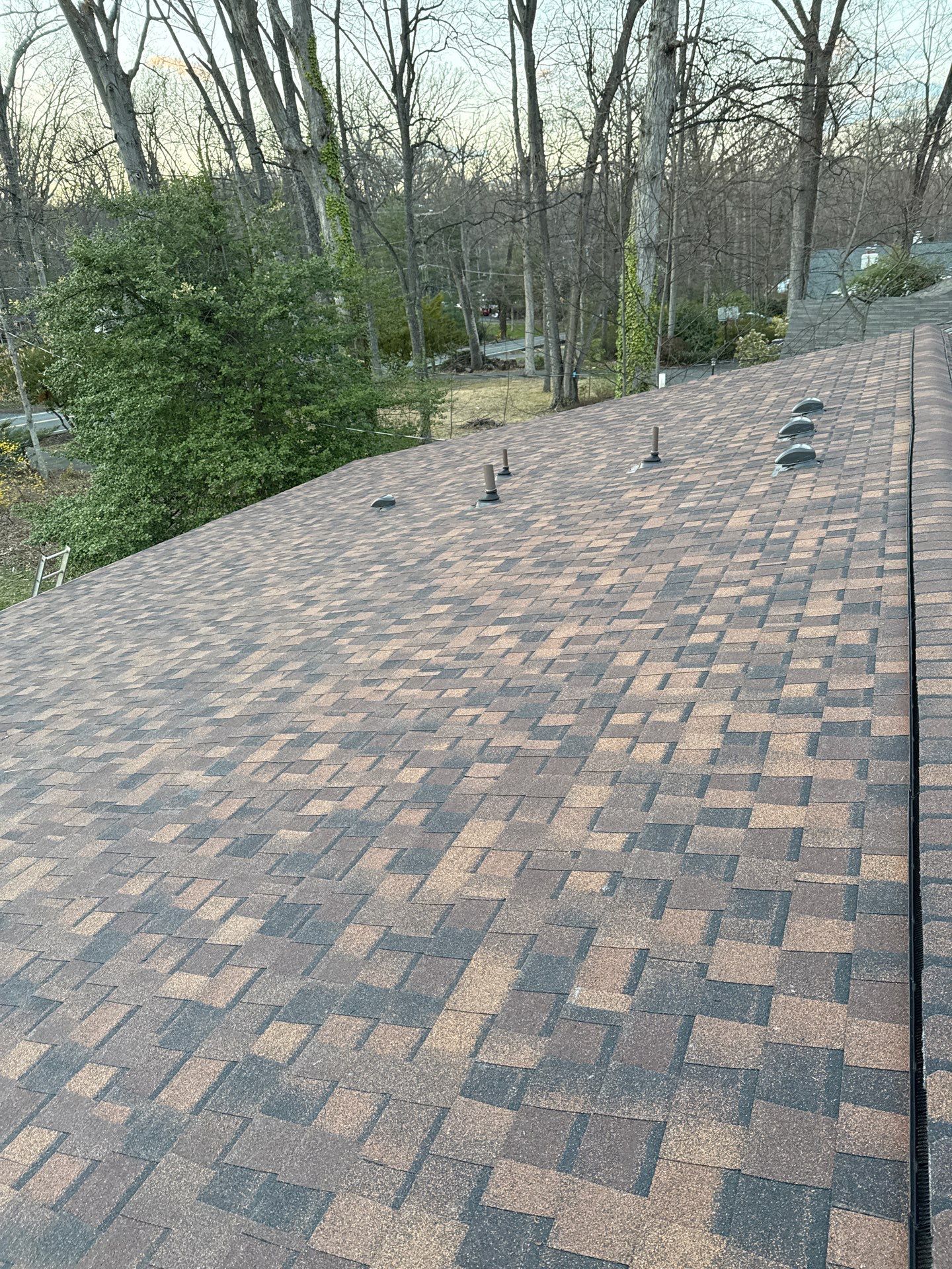 Fairfax: Residential Roof Replacement with CertainTeed Landmark Pro in Max Def Burnt Sienna by RM Banning, Inc.