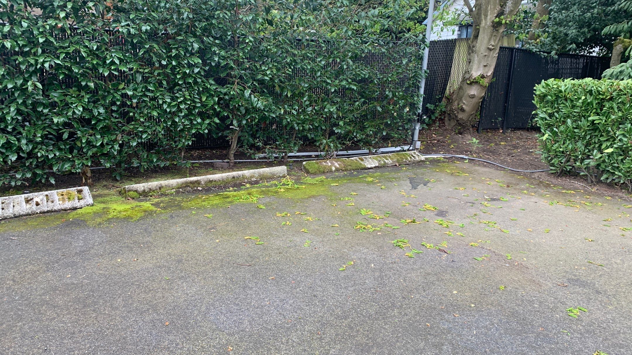 Tim | Asphalt Driveway Repair  by Jireh Asphalt & Concrete Inc 