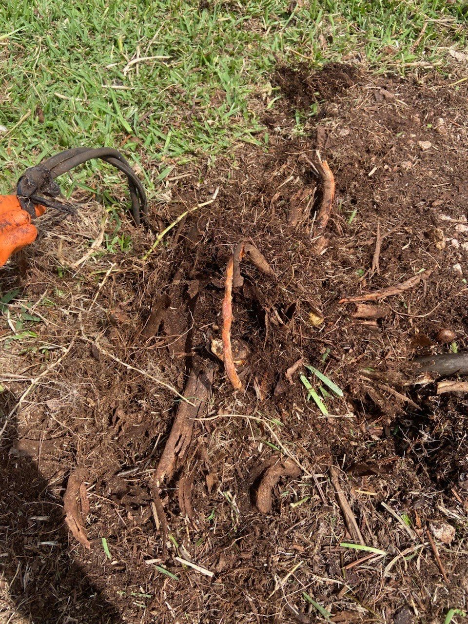 Front Yard Renovation – Rock Removal, Sod & Landscape Enhancement by 
M.A.B. Landscaping & Property Maintenance