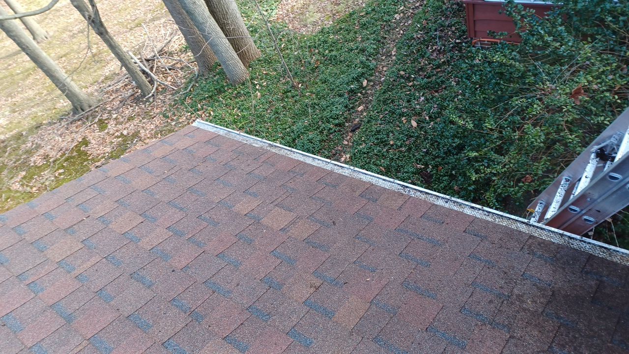 Kim Lazor by Silver Leaf Contracting 