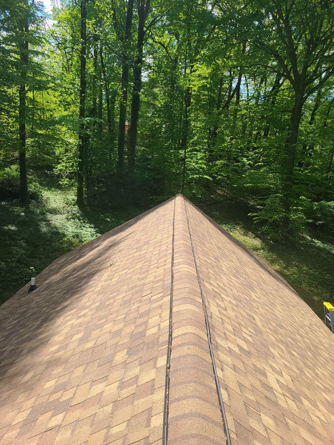 Annandale: Multi-Trade Tree Damage Restoration by RM Banning, Inc.