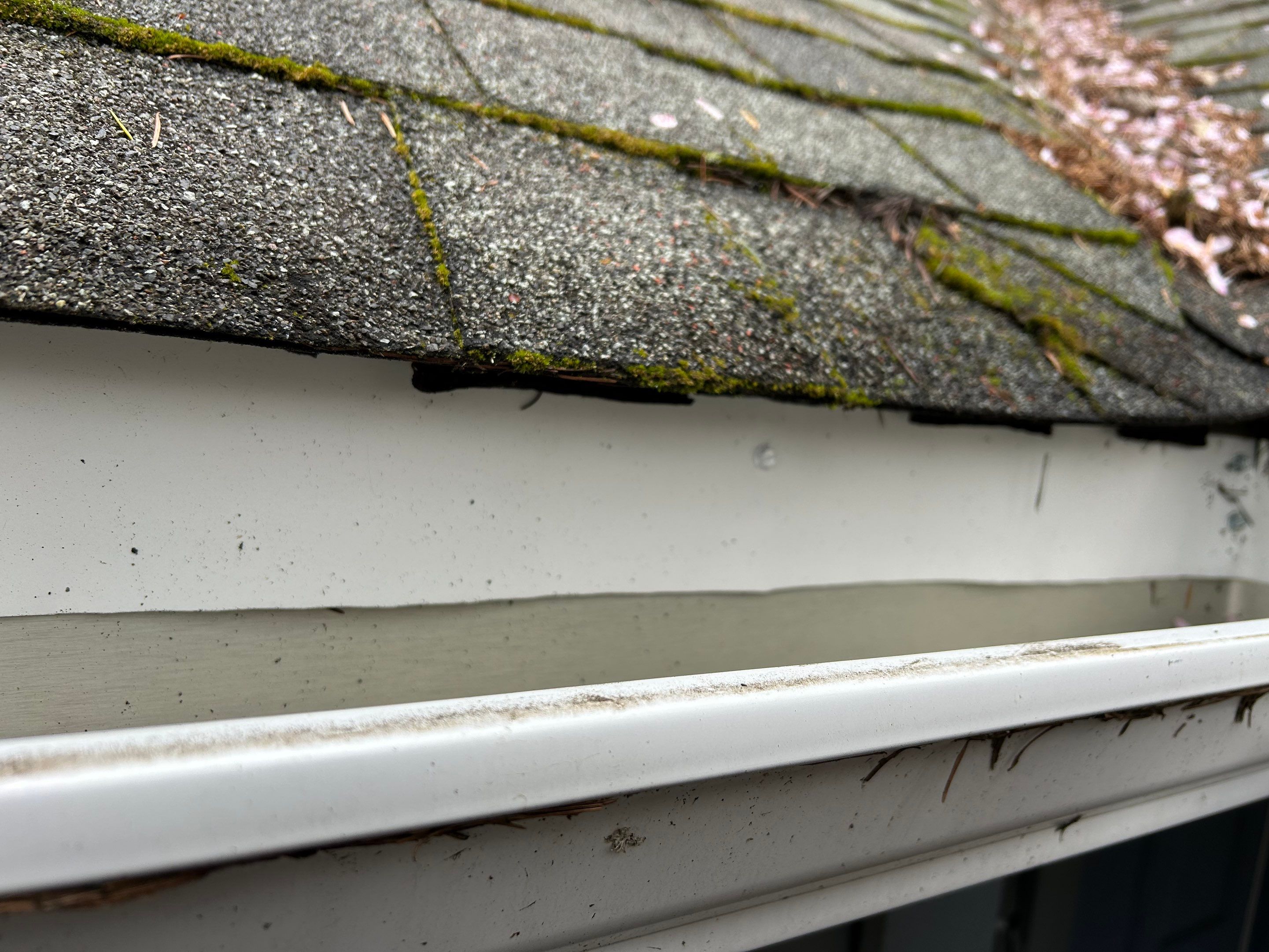 Project in Redmond by Connolly Construction Company