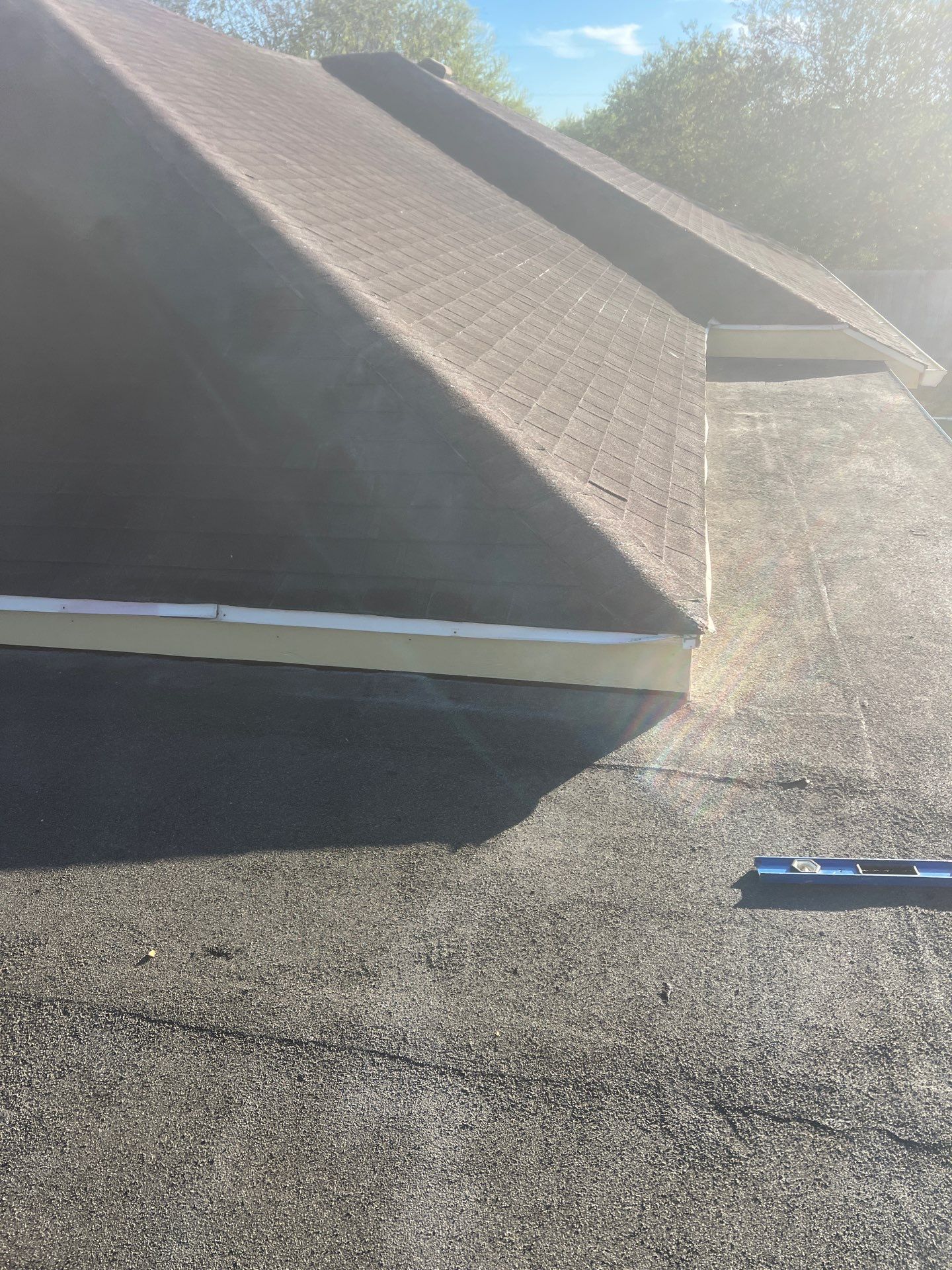 It Ain't Easy getting Shady  by Bayfront Roofing and Construction