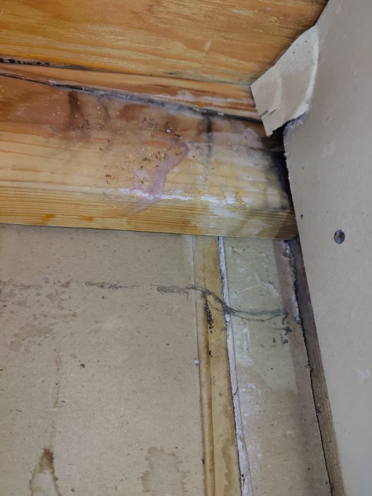 Water Damage by Accountable Home Services