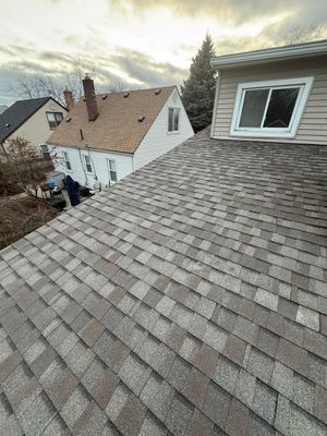 Project in Royal Oak