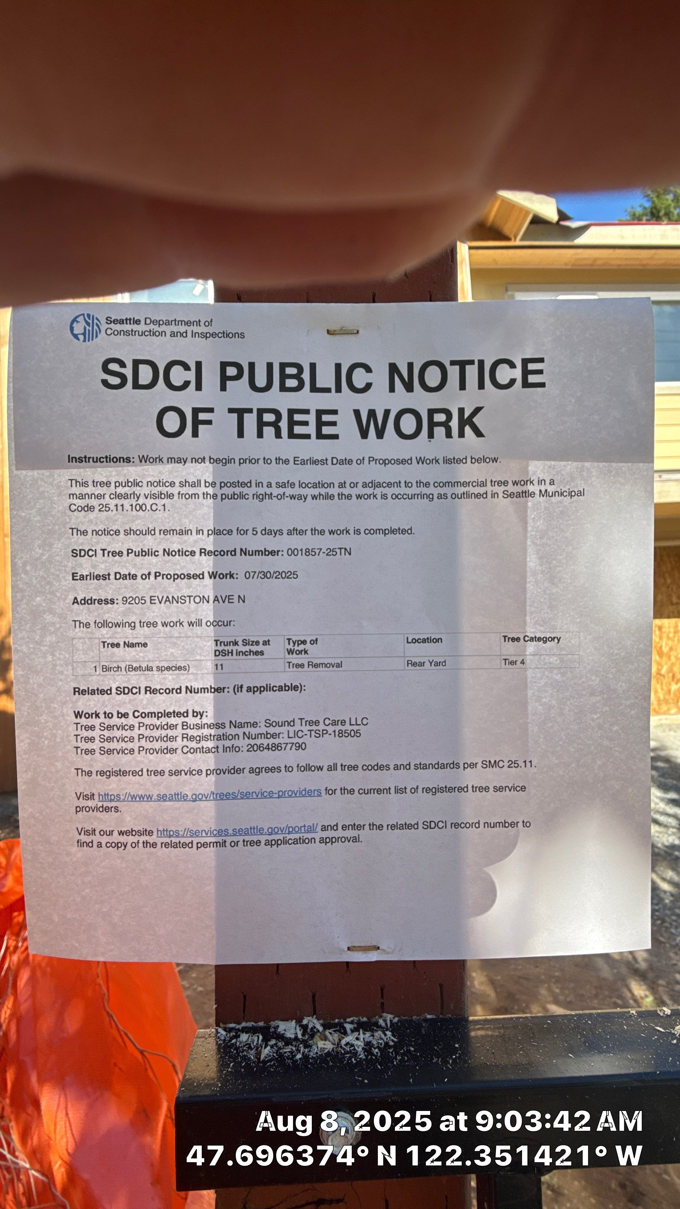 ποΈ Birch Tree Removal for Seattle Construction Project ποΈ by Sound Tree Care LLC