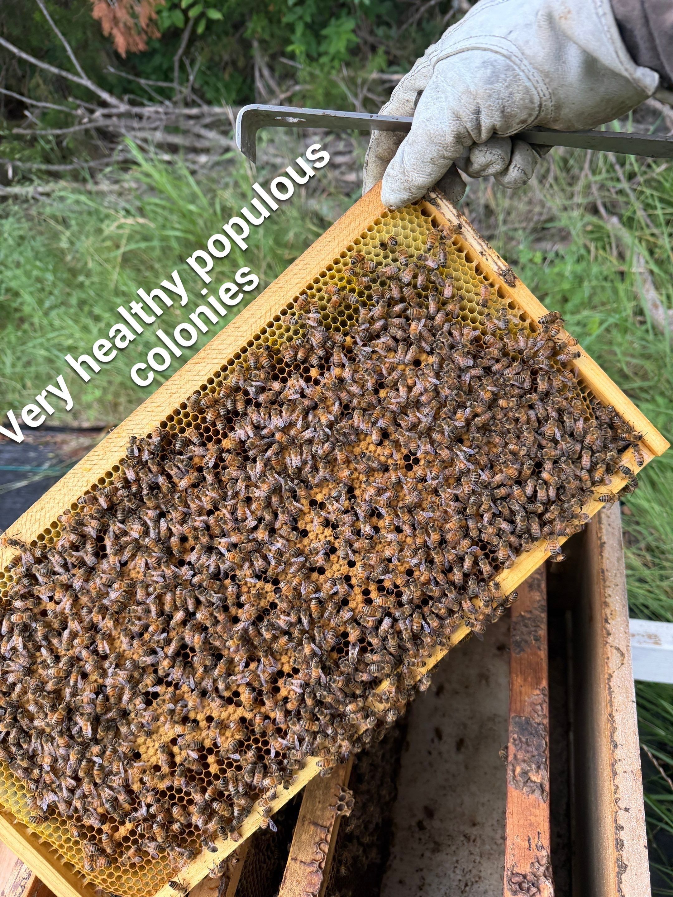 Rustic Grace Apiary in Van Alstyne, TX by Rockwall Honey Bee Company