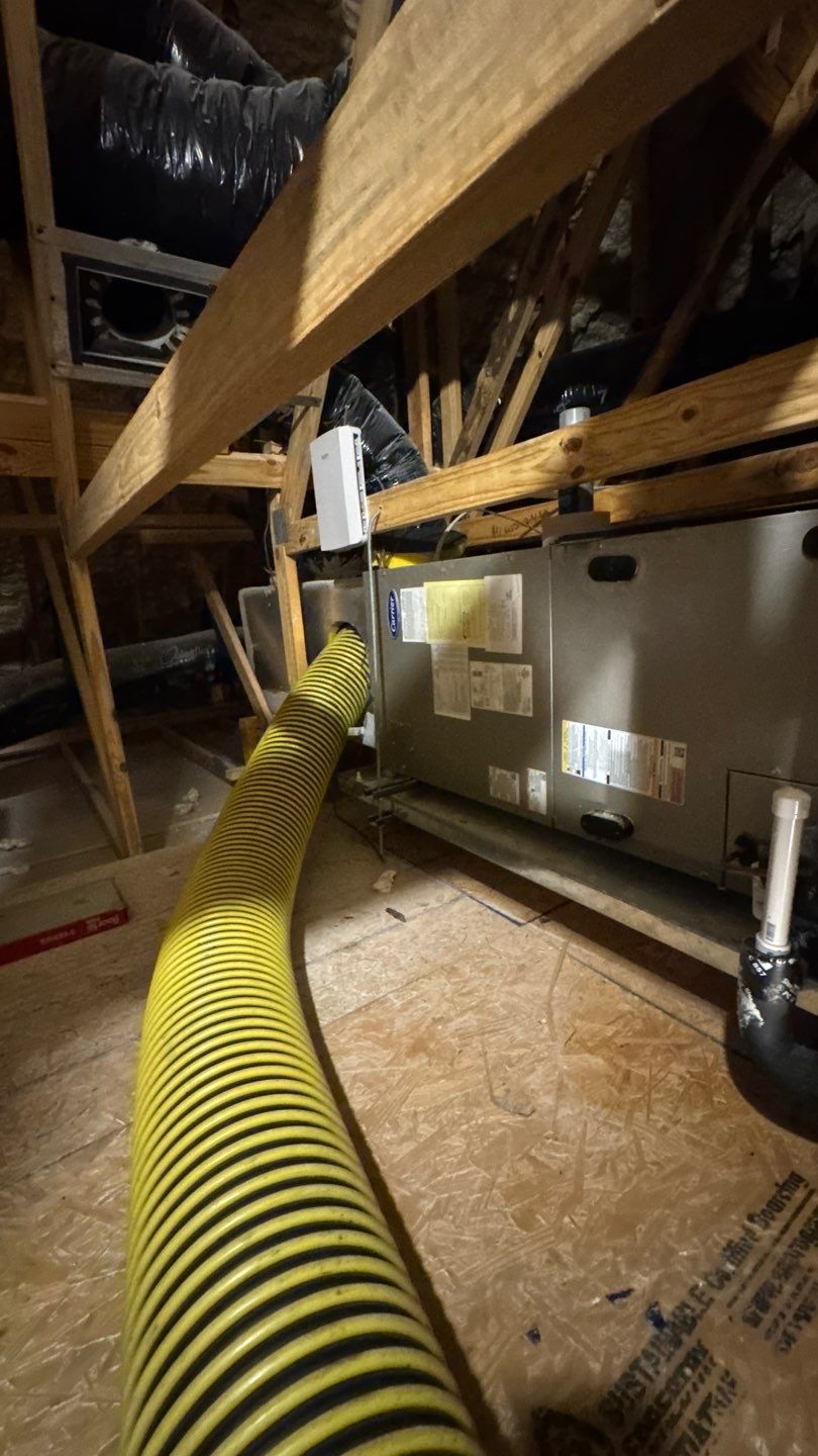 Air Duct Cleaning in WInter Garden by Hygienic Air, Inc