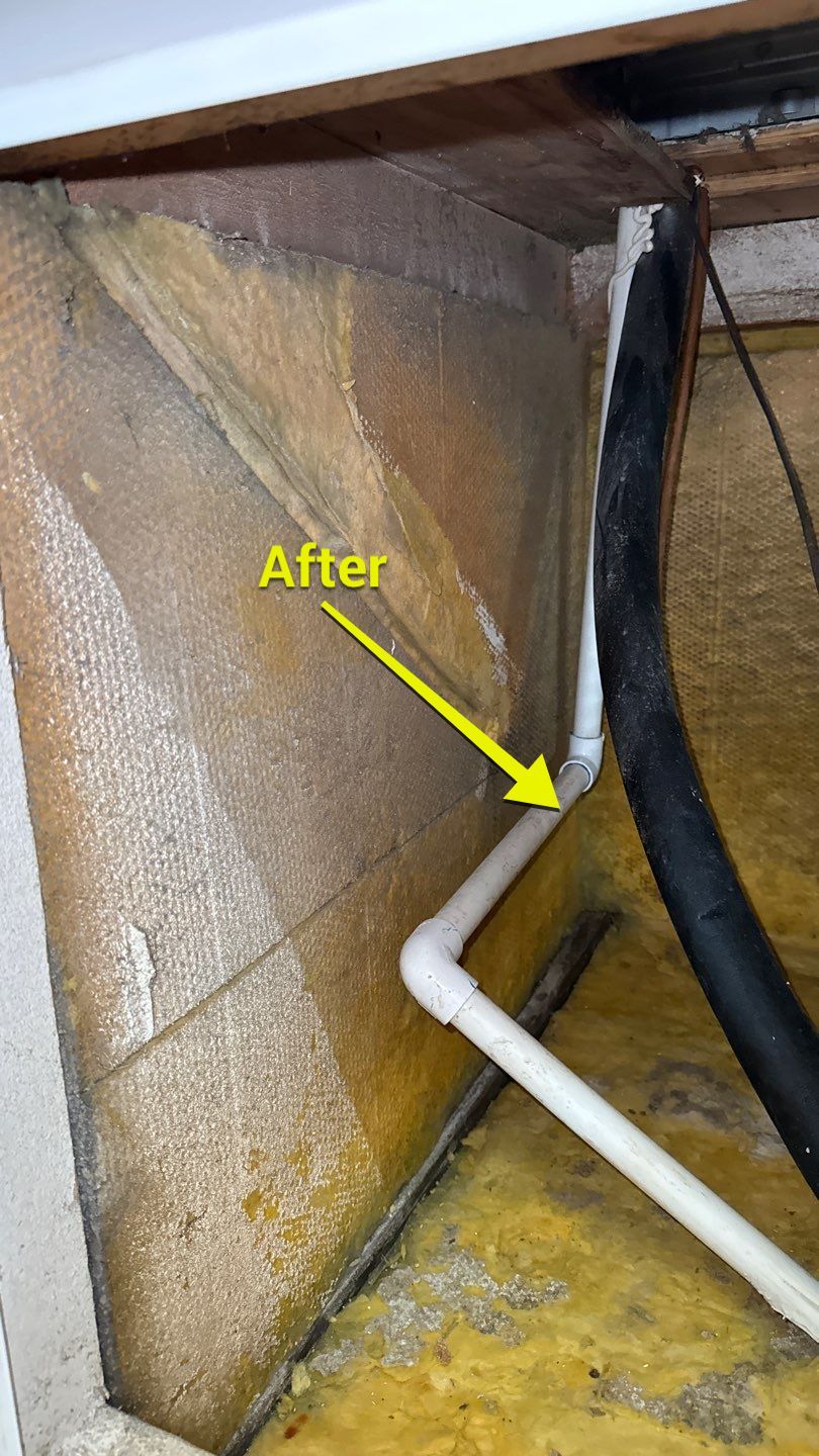 Air Duct Cleaning in Tavares by Hygienic Air, Inc