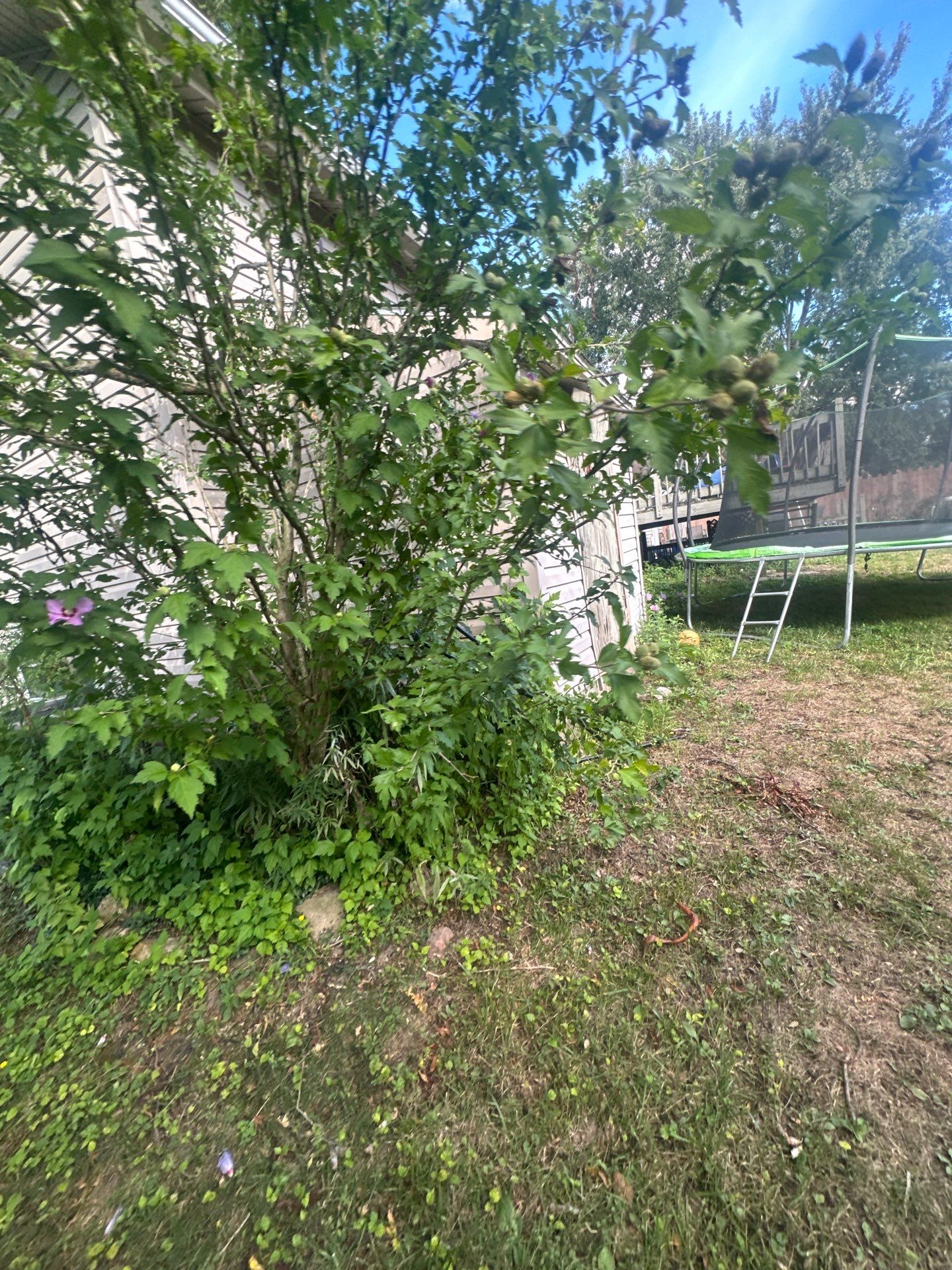 Inspección  by Mike home improvements 