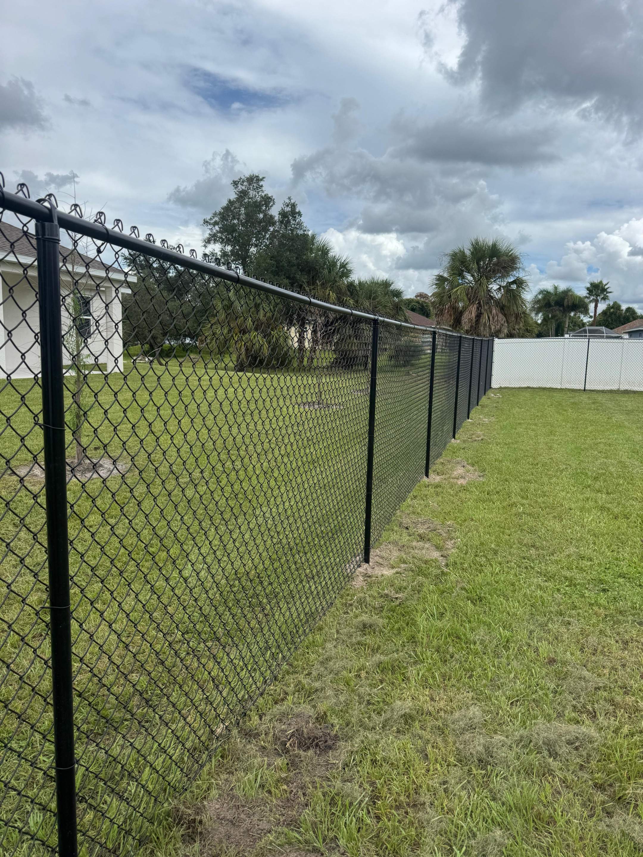Residential Black Chain Link Fence Installation in North Port by True Fence LLC