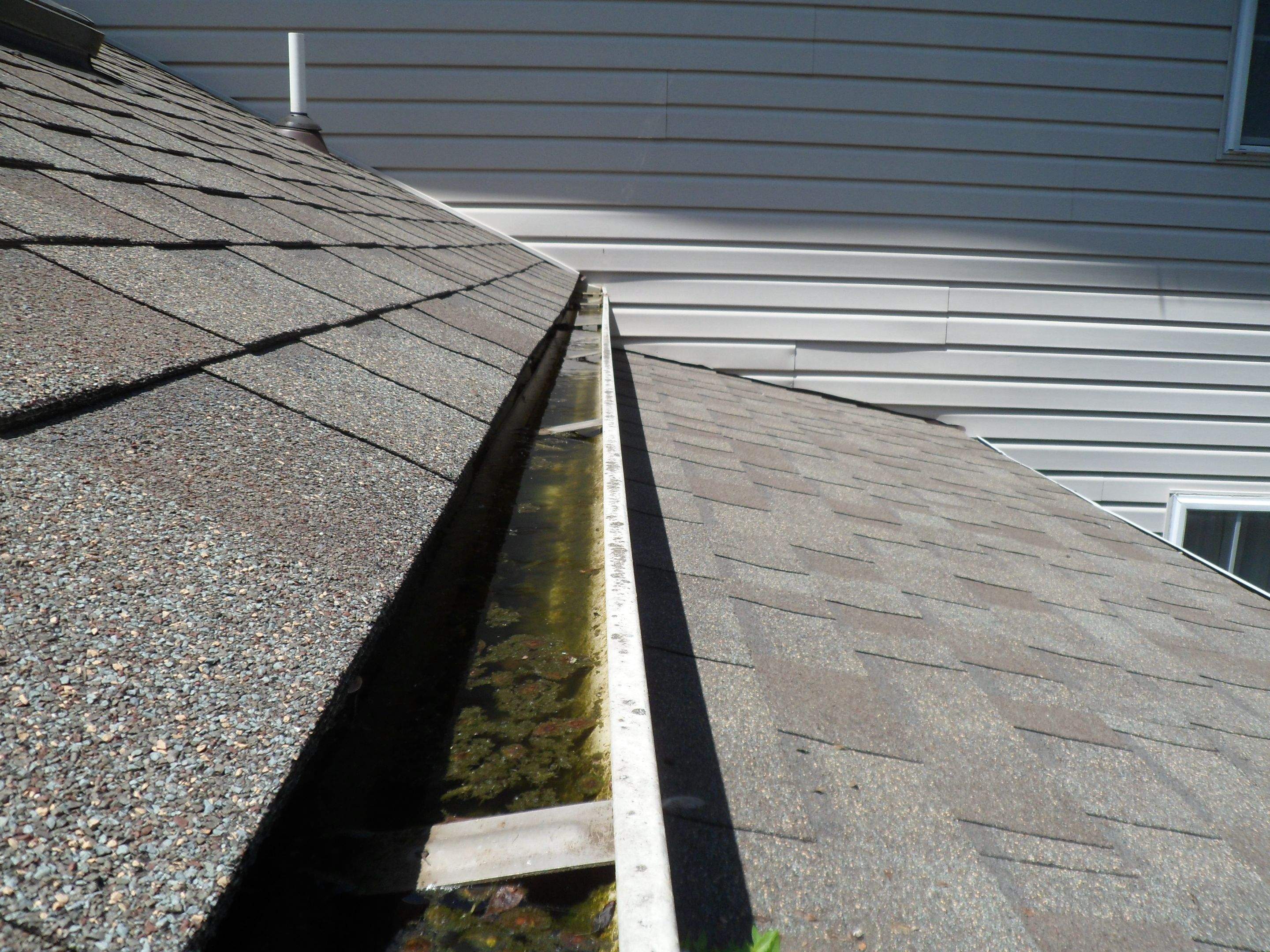 New Gutter guard  by Alpha Design Services