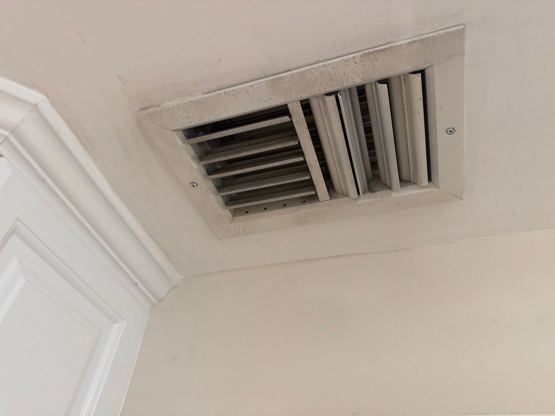 Residential Mold Remediation and Interior Moisture Damage Assessment in Palm Beach by SuperClean