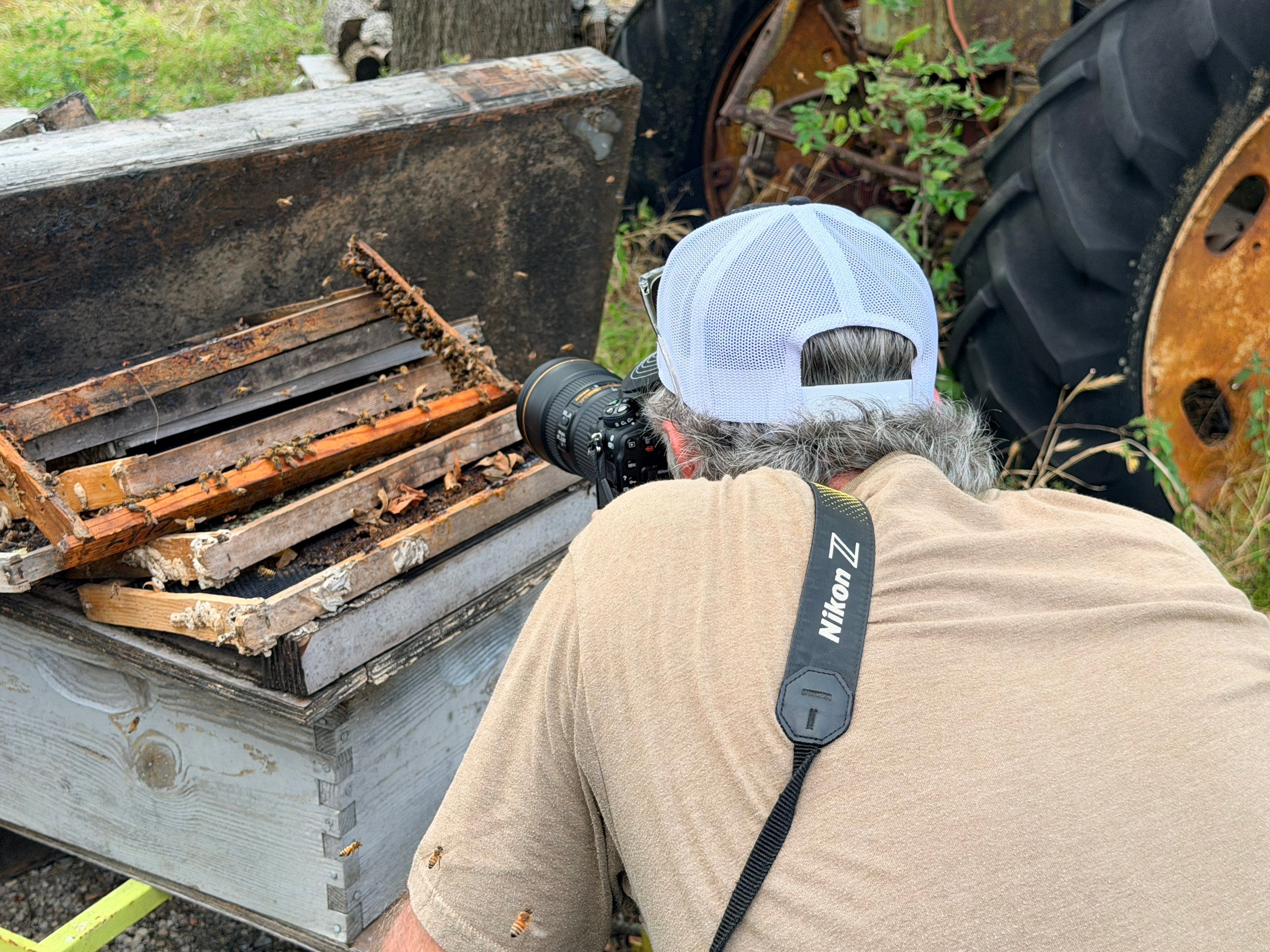 Project in Royse City, TX by Rockwall Honey Bee Company