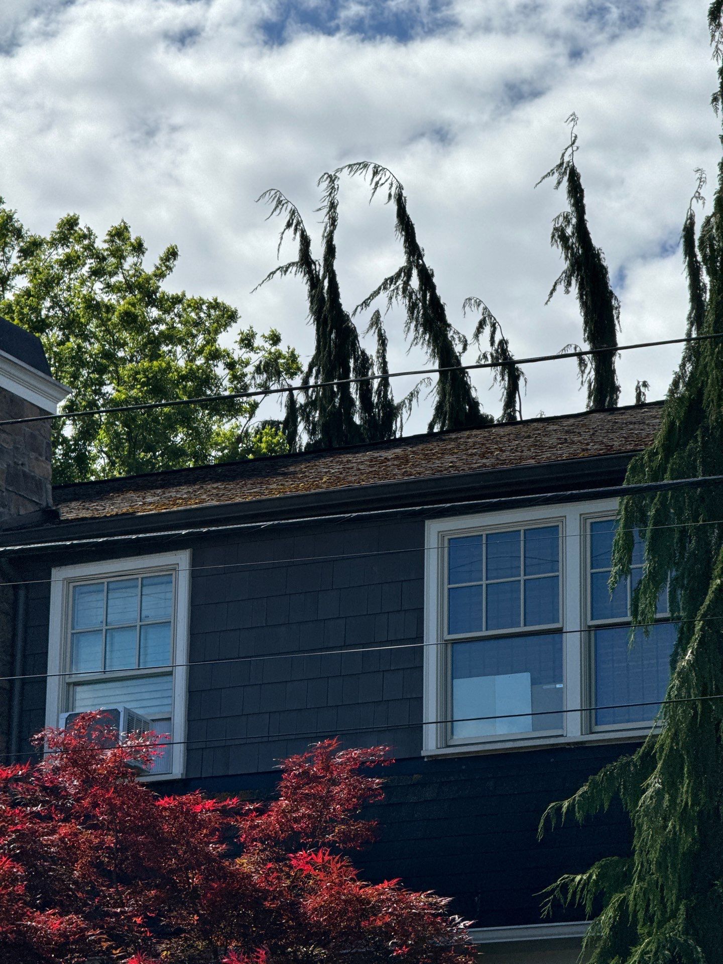 Project in Seattle by Peaks and Valleys Construction