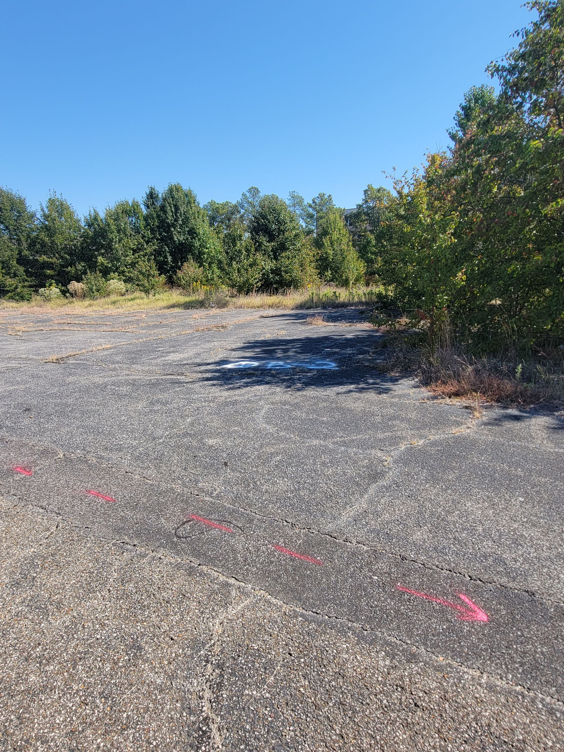 Soil Boring Locations by Alsip Locating Service, LLC