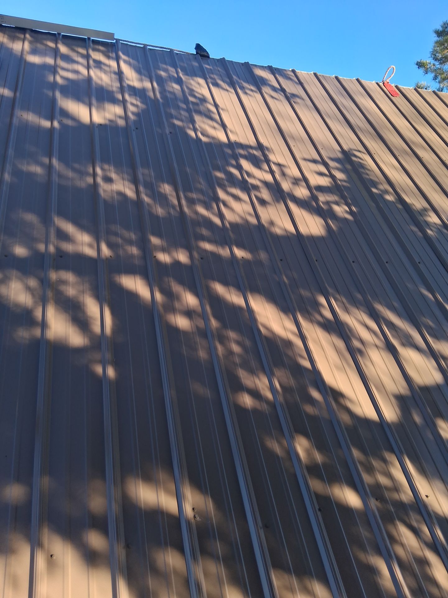 Project in Conrad by KQC Roofing