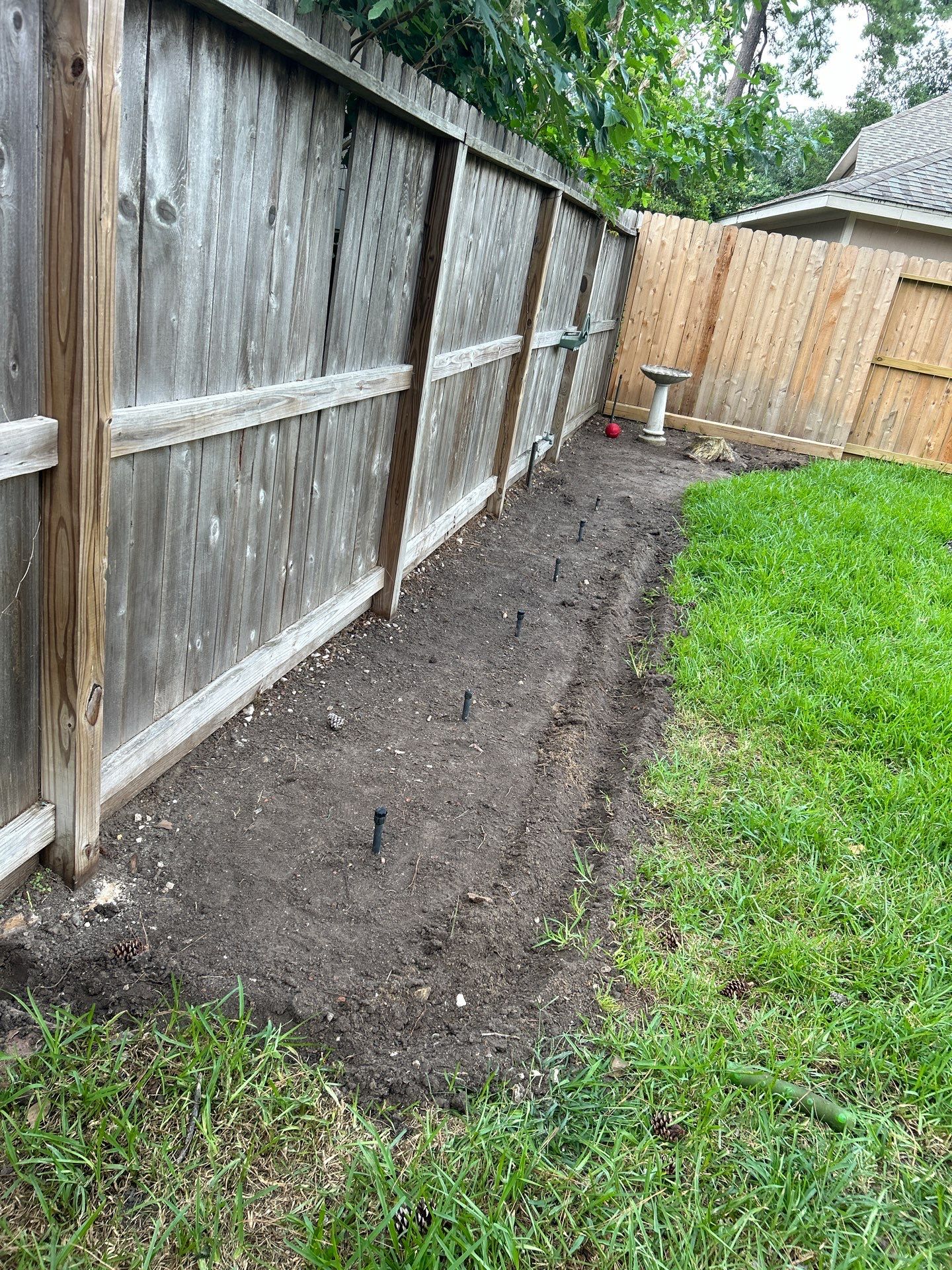 From HOA Headaches to Head-Turning Curb Appeal: Travis's Front Yard Makeover! 🤩 by Texas Urban Elements