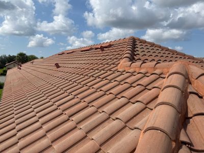 Roof Cleaning Soft Wash in Artisan Lakes Palmetto FL